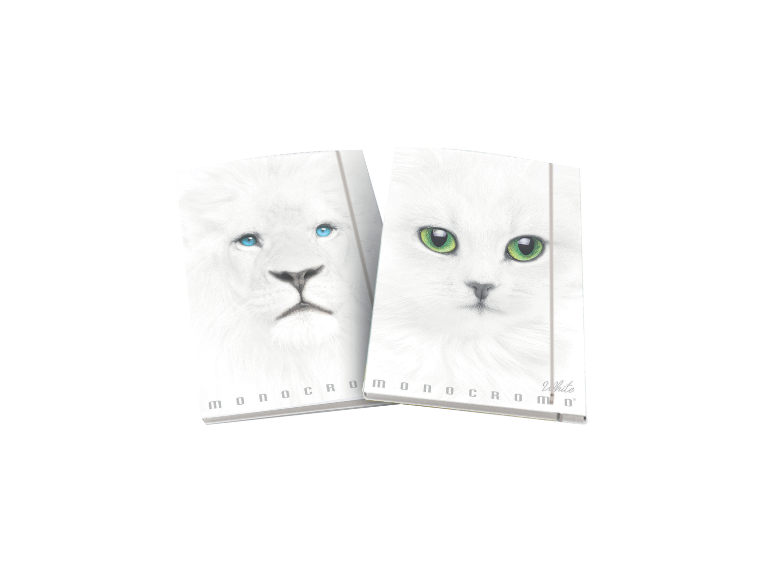 Cartelle 3 lembi Black & White Pigna, prezzo 1.69 €
Caratteristiche
- ...