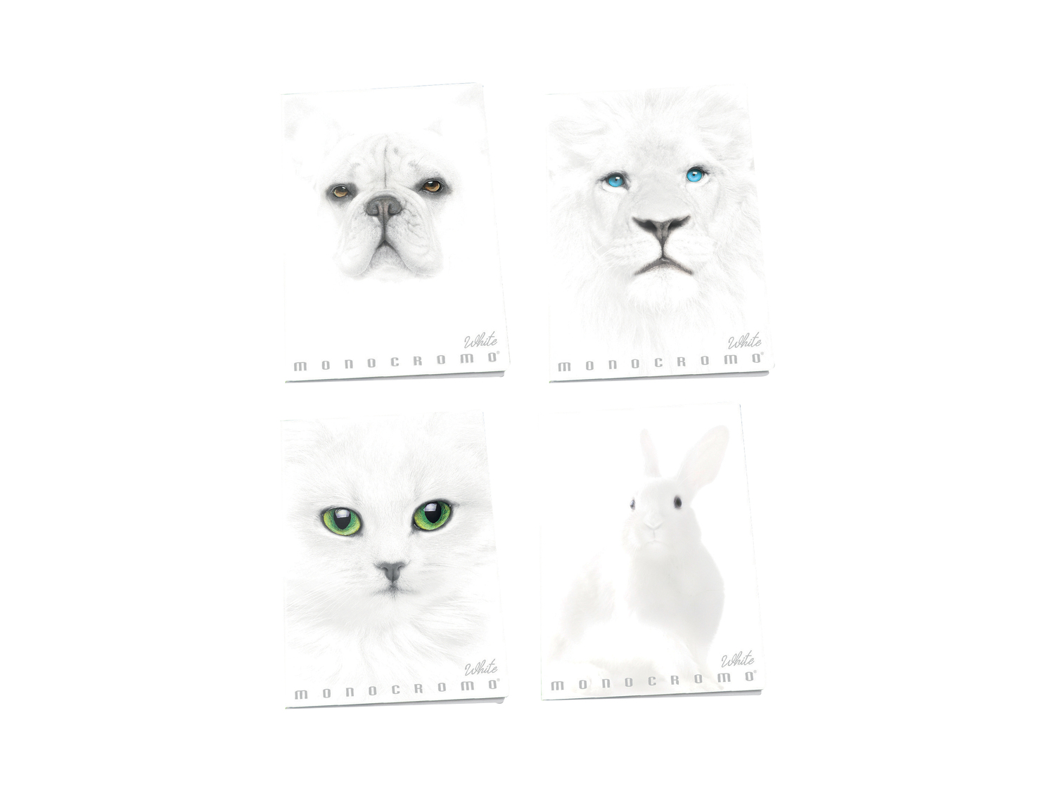 Maxi Quaderno Black & White Pigna, prezzo 1.29 €
Caratteristiche
- ...