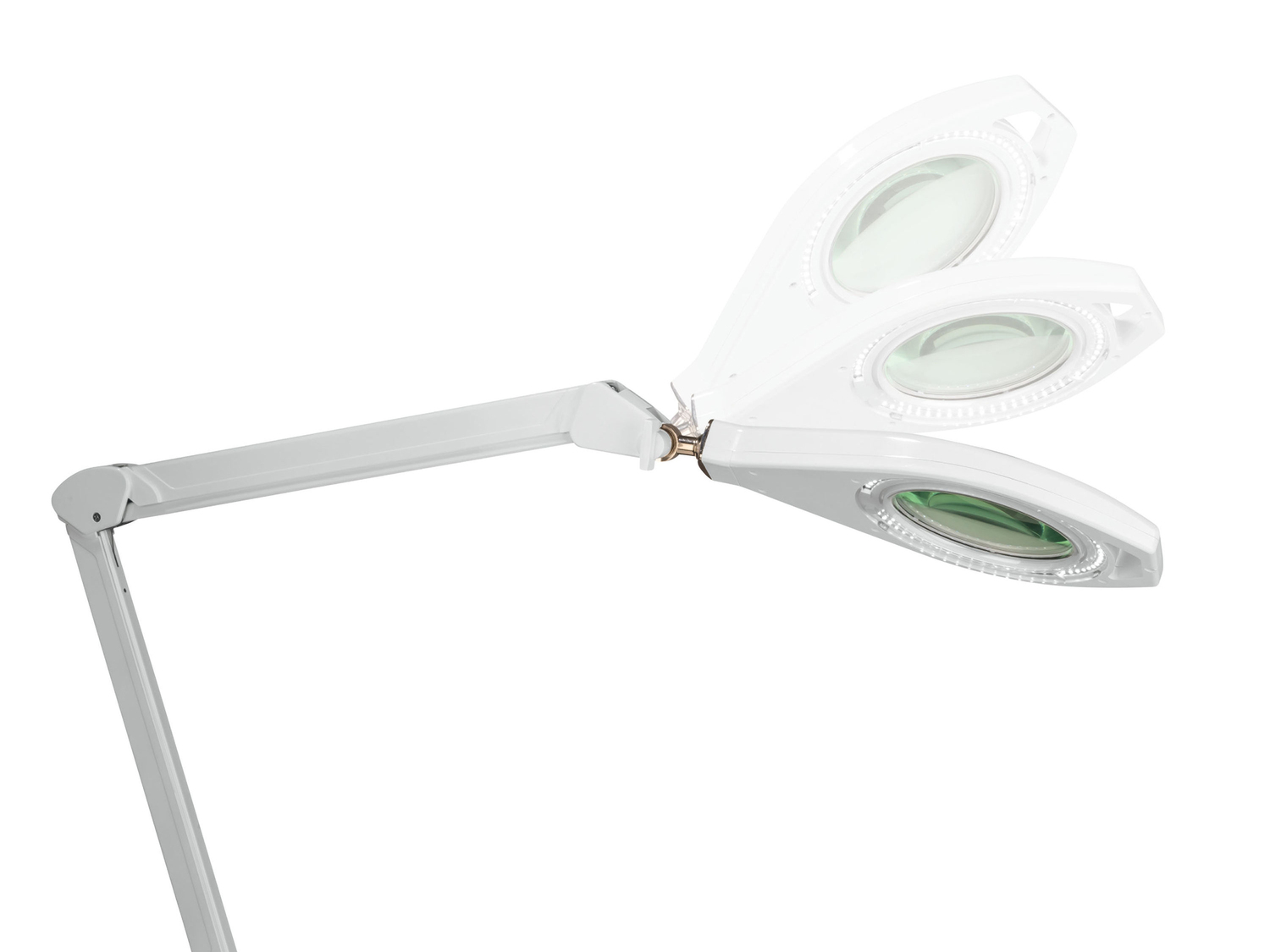 Lampada LED con lente dingrandimento Livarno, prezzo 29.99 €
- Ingrandimento ...