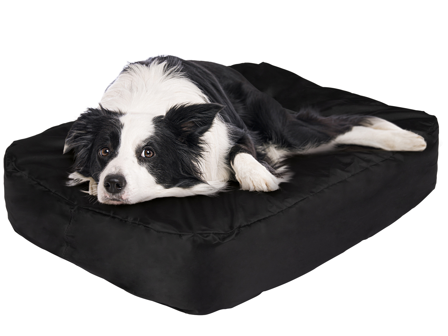 Lettino gonfiabile per cani Zoofari, prezzo 19.99 €
- Fodera removibile ...