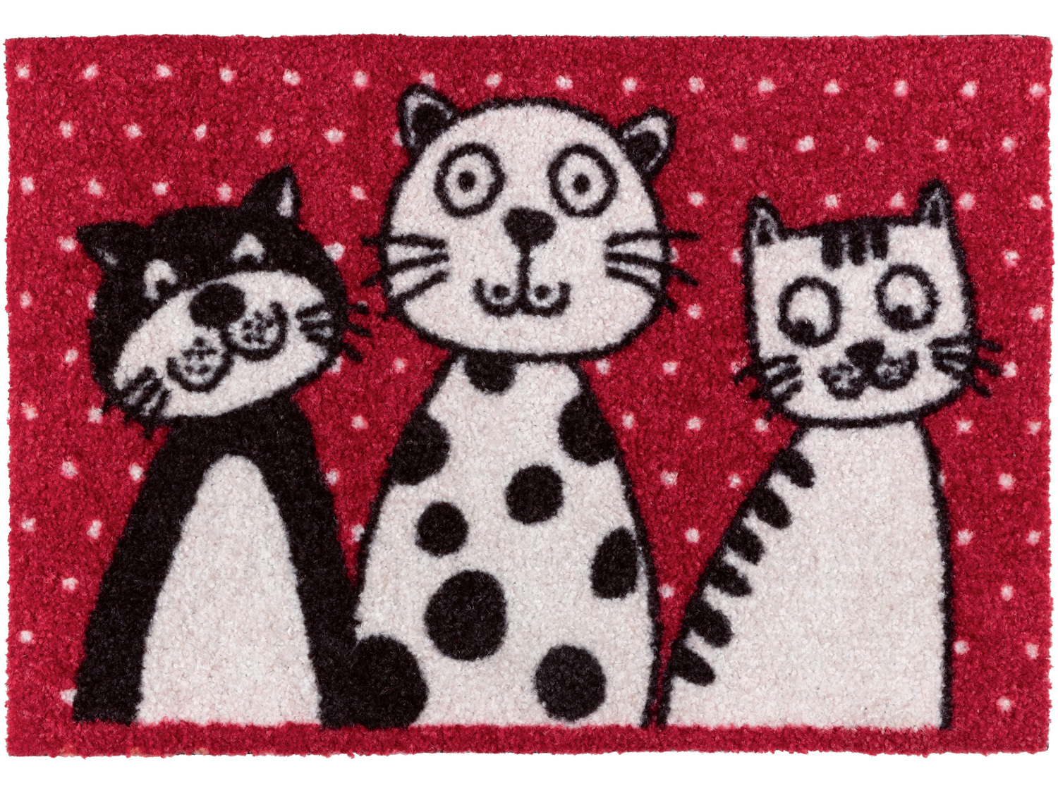 Tappeto catturasporco Livarno, prezzo 4.99 €
60x40 cm
- Adatto per riscaldamento ...