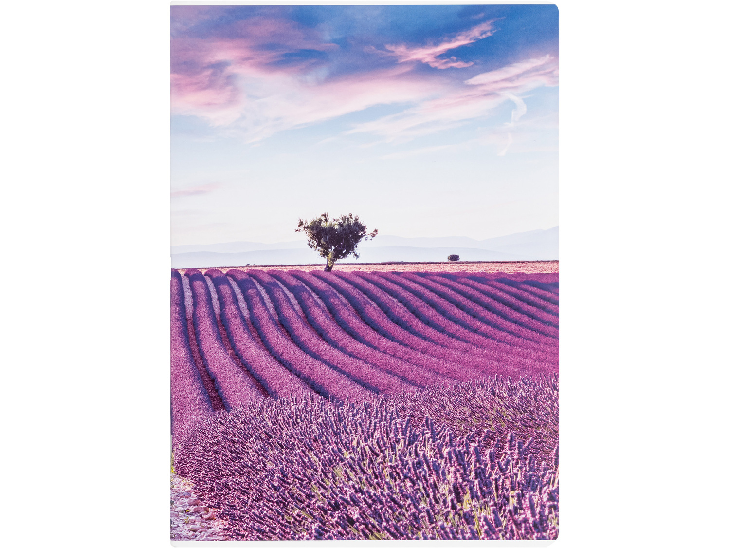 Quaderno A4 United Office, prezzo 0.99 €
- Righe o quadretti (4, 5 o ...