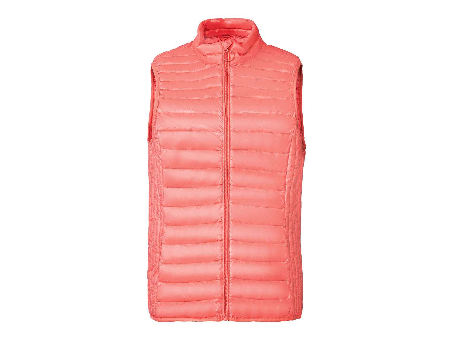 Gilet imbottito da donna Esmara, prezzo 12.99 €
Misure: S-XL
Taglie disponibili
Caratteristiche
- ...
