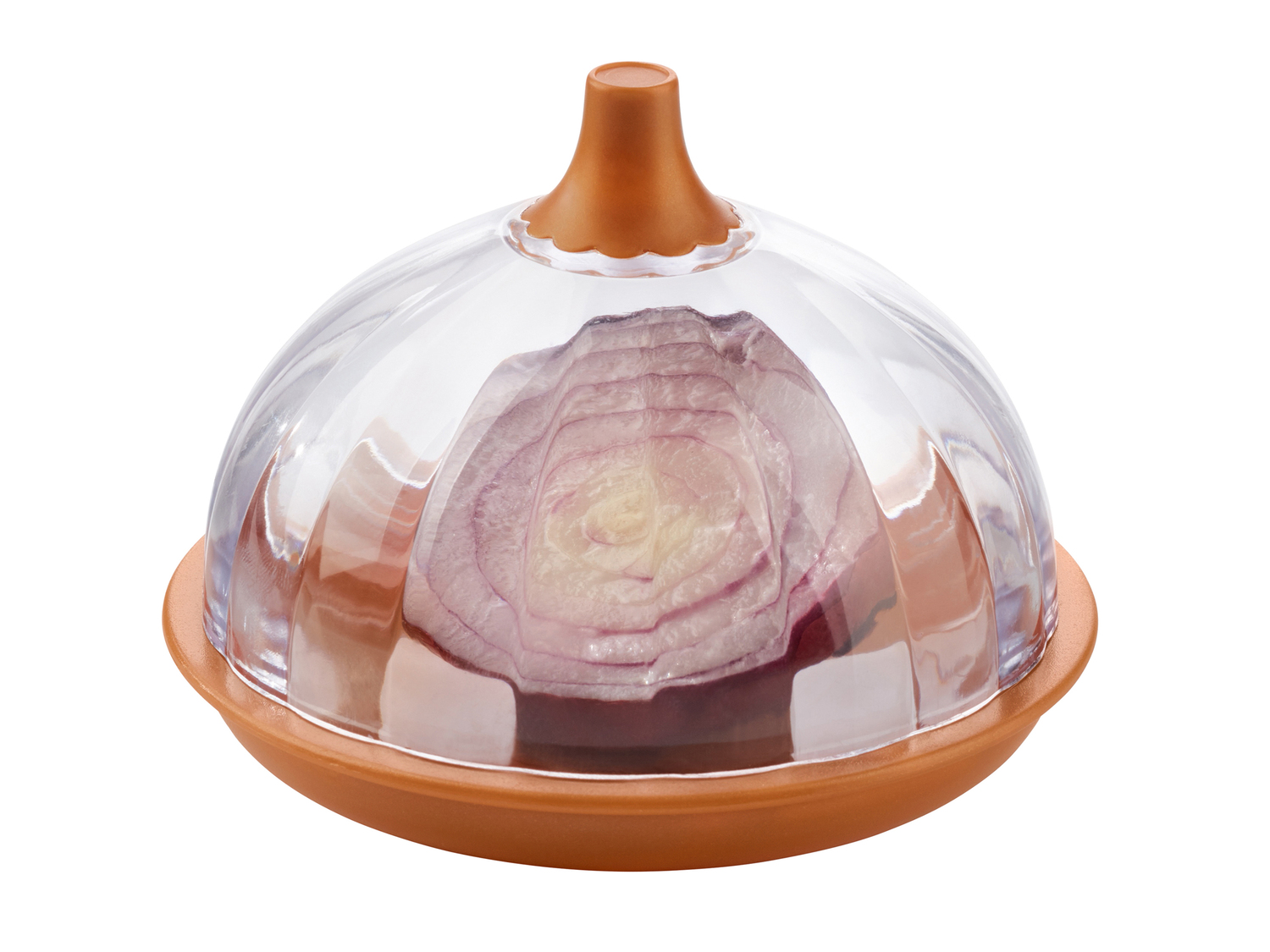 Contenitore per alimenti o utensile per avocado Ernesto, prezzo 2.49 &#8364; ...