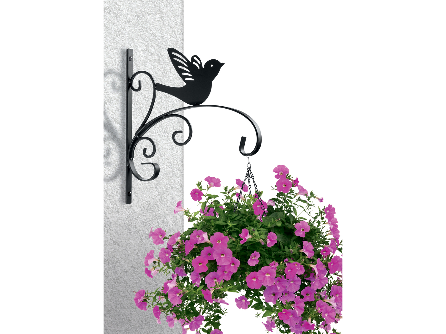 Portavaso pensile Florabest, prezzo 2.99 €
- 28 x 30 cm (L x A)
Caratteristiche
- ...