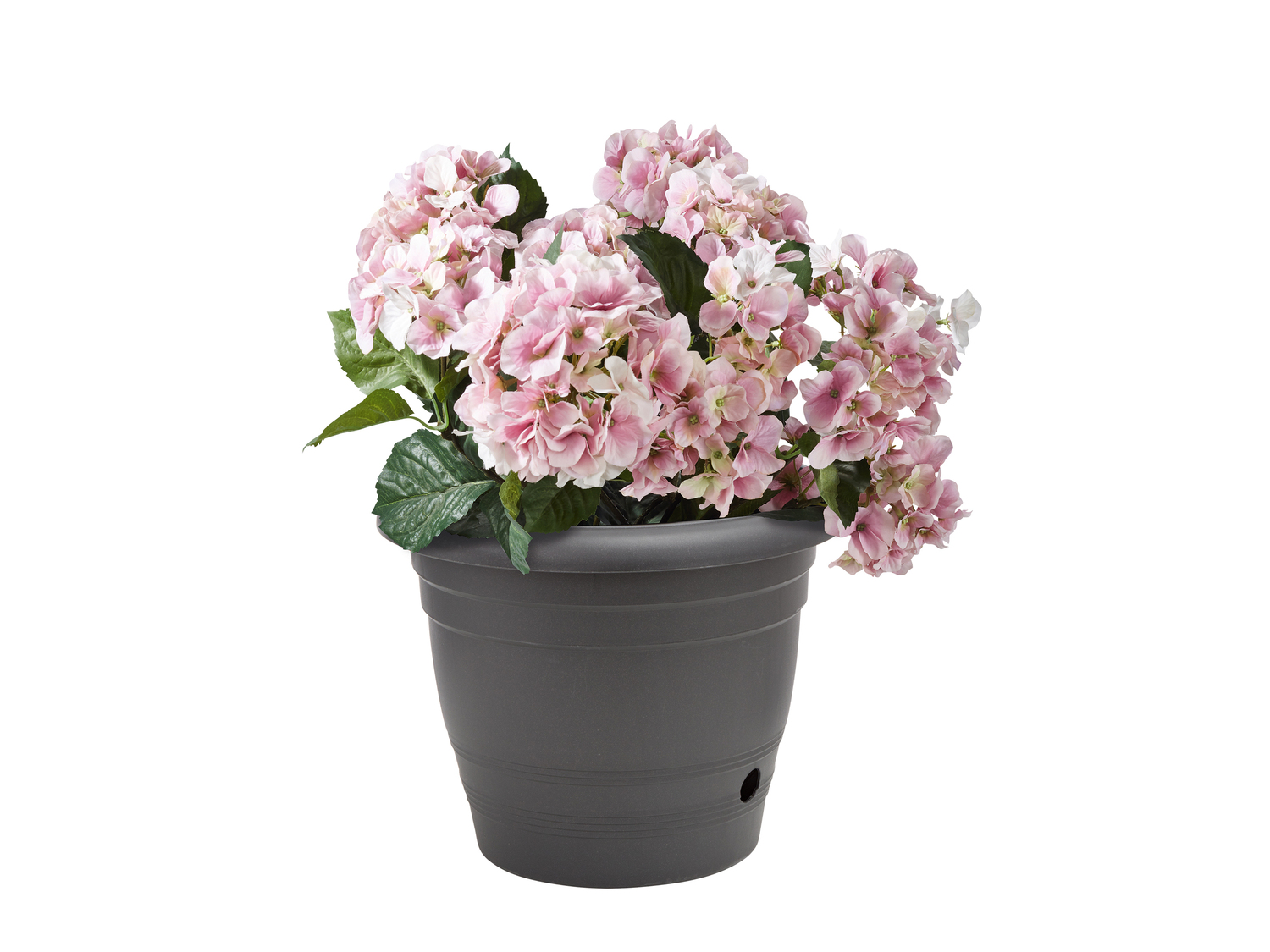 Vaso per fiori Parkside, prezzo 3.99 €
Ø 40 cm
Caratteristiche