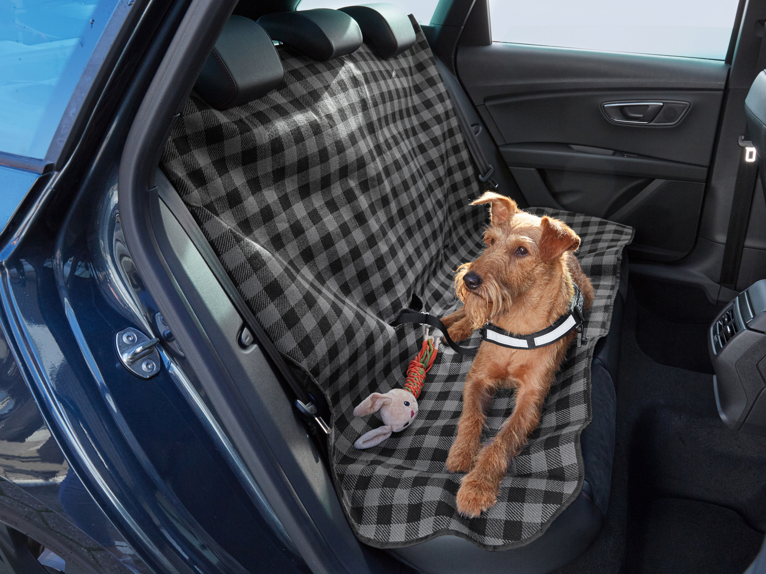 Telo auto per cani Zoofari, prezzo 7.99 €
- Con aperture per le cinture di sicurezza
- ...