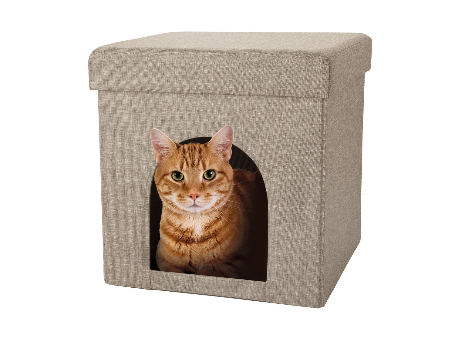 Pouf con cuccia per gatti Zoofari, prezzo 12.99 €
- 37,5 x 38 x 37,5 cm (L x ...