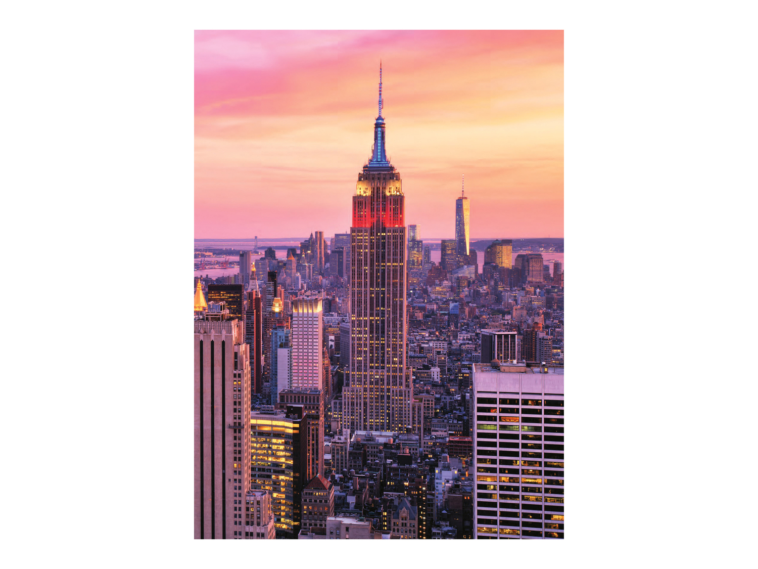 Quaderno United Office, prezzo 0.79 €
Caratteristiche
- FSC no link