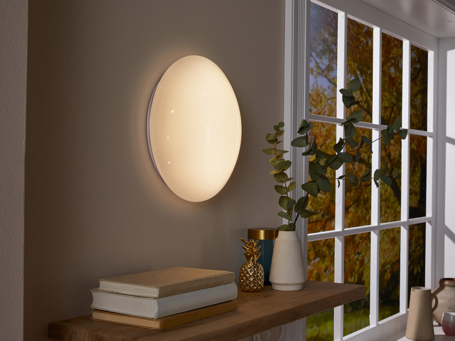 Lampada LED da soffitto o da parete Livarno Lux, prezzo 9.99 €
- Per ambienti ...