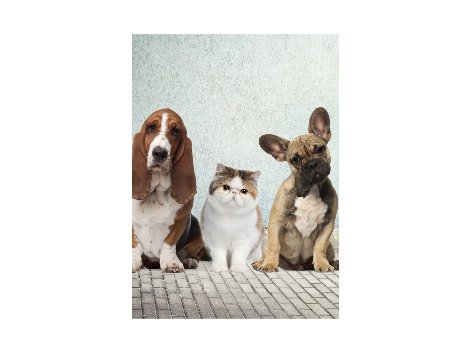 Quaderno United Office, prezzo 0.79 €
Caratteristiche
- FSC no link