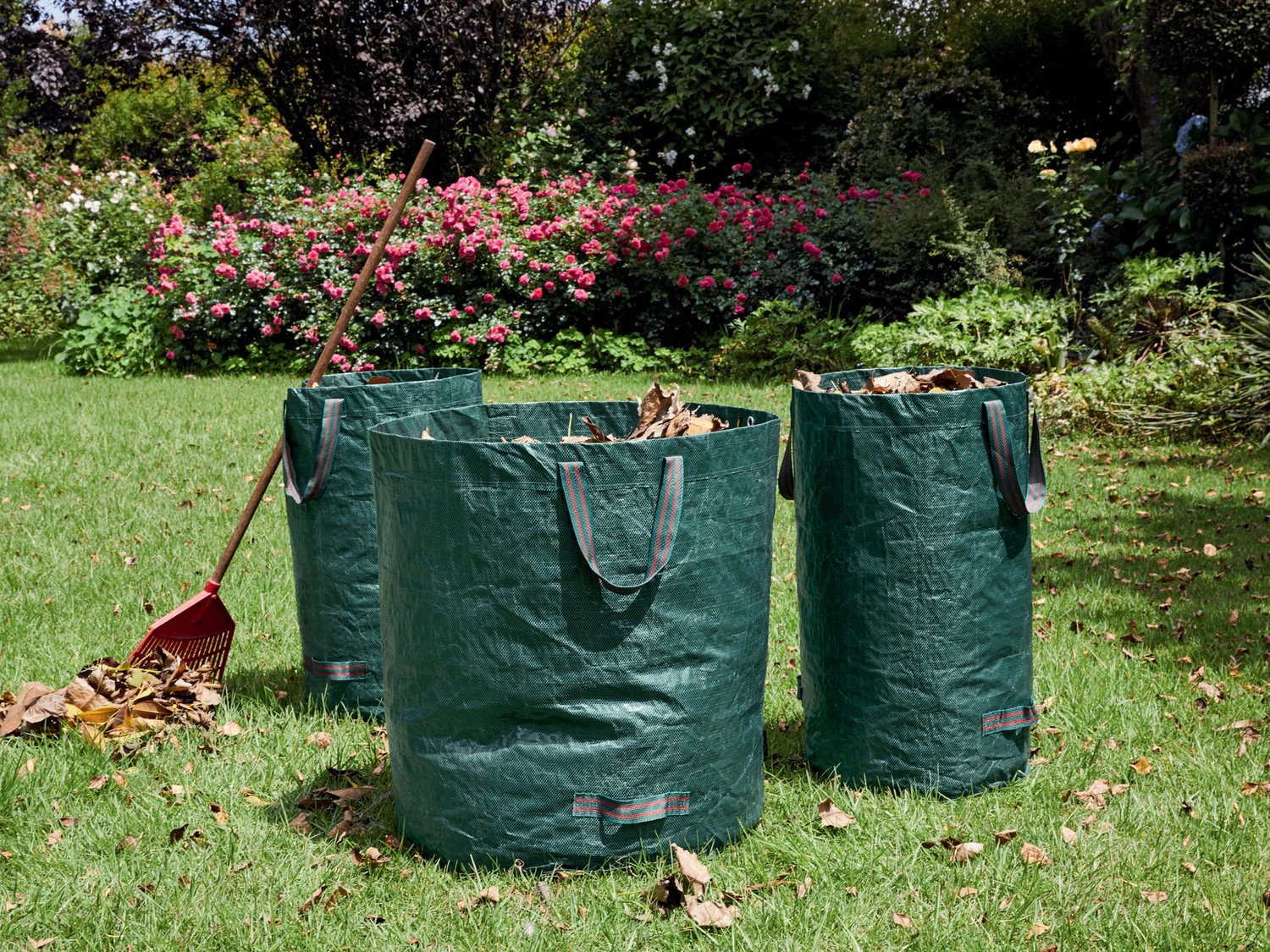 Set sacchi da giardino Parkside, prezzo 7.99 €
3 pezzi
Caratteristiche