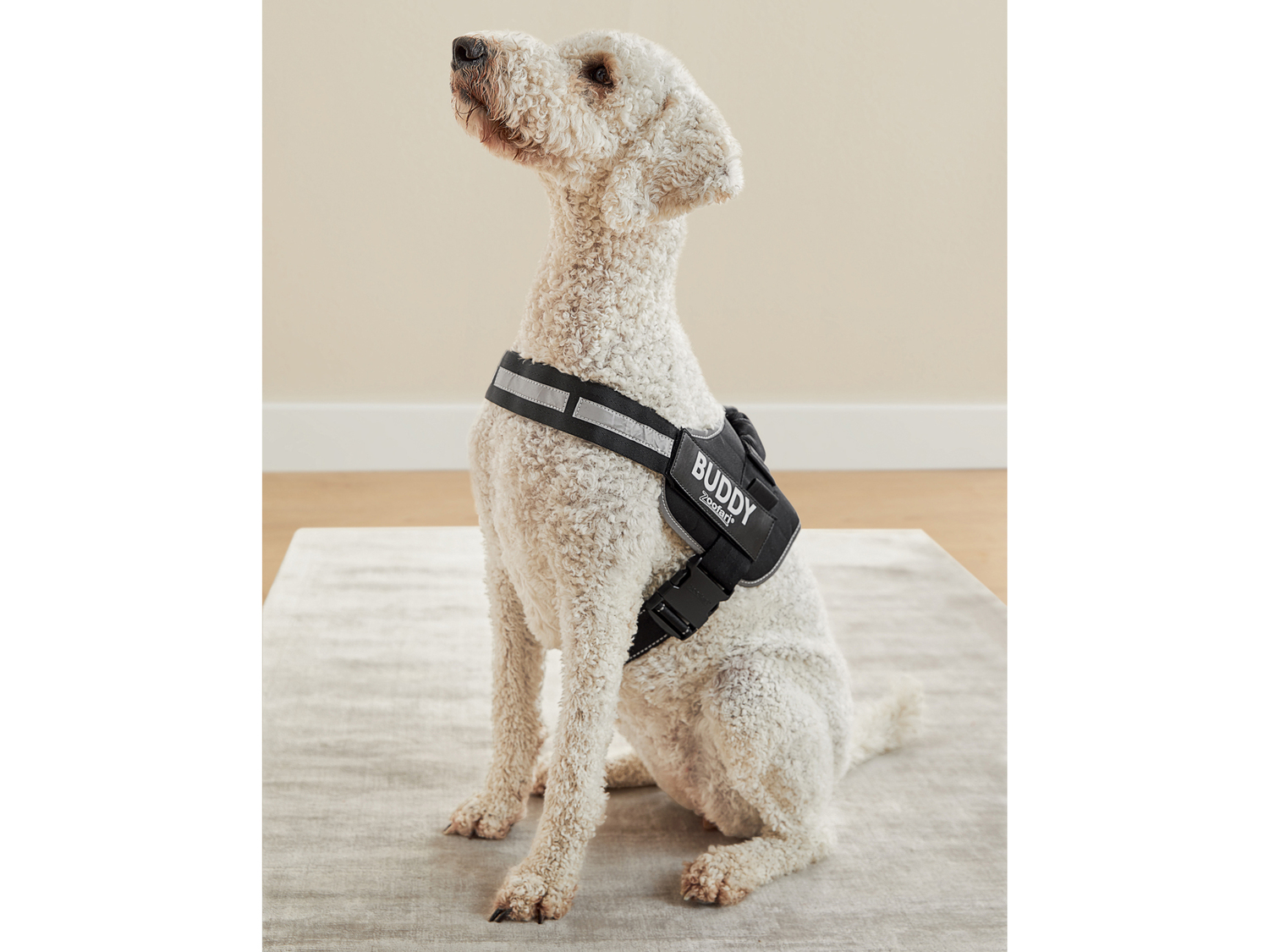 Pettorina per cani Zoofari, prezzo 8.99 €
Taglia: S-XL
- Con elementi ...