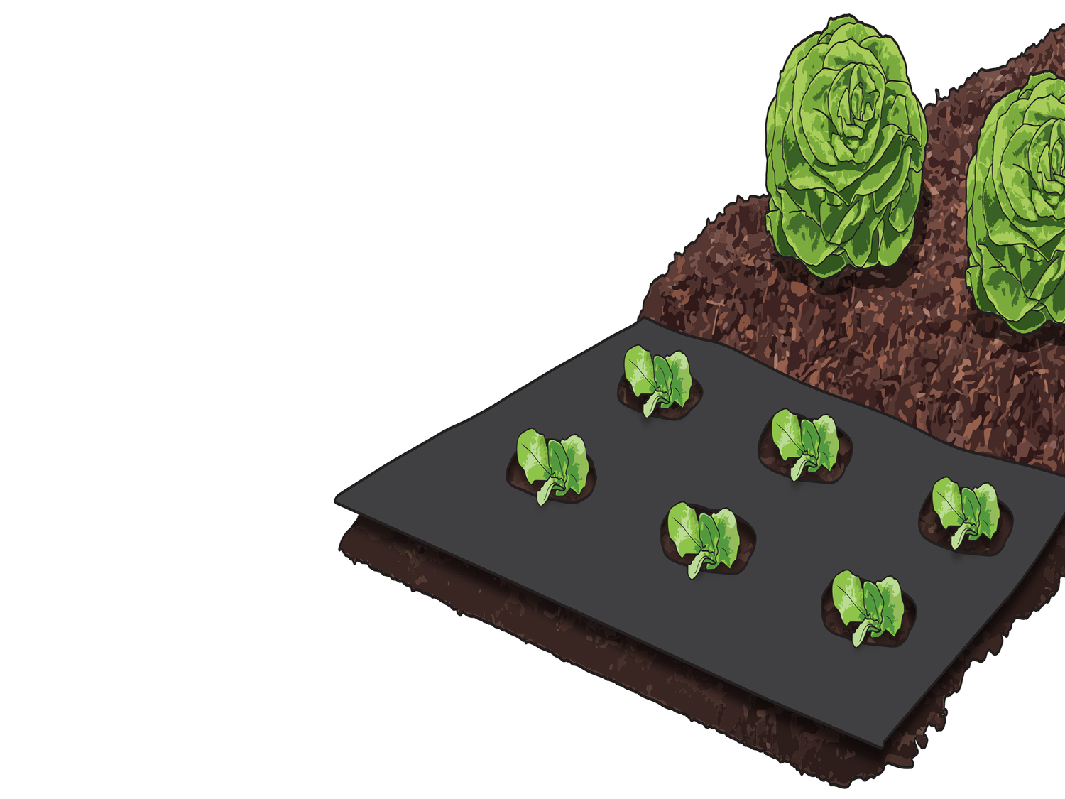 Telo pacciamante o da giardino Parkside, prezzo 2.99 €
- Ritagliabile ...