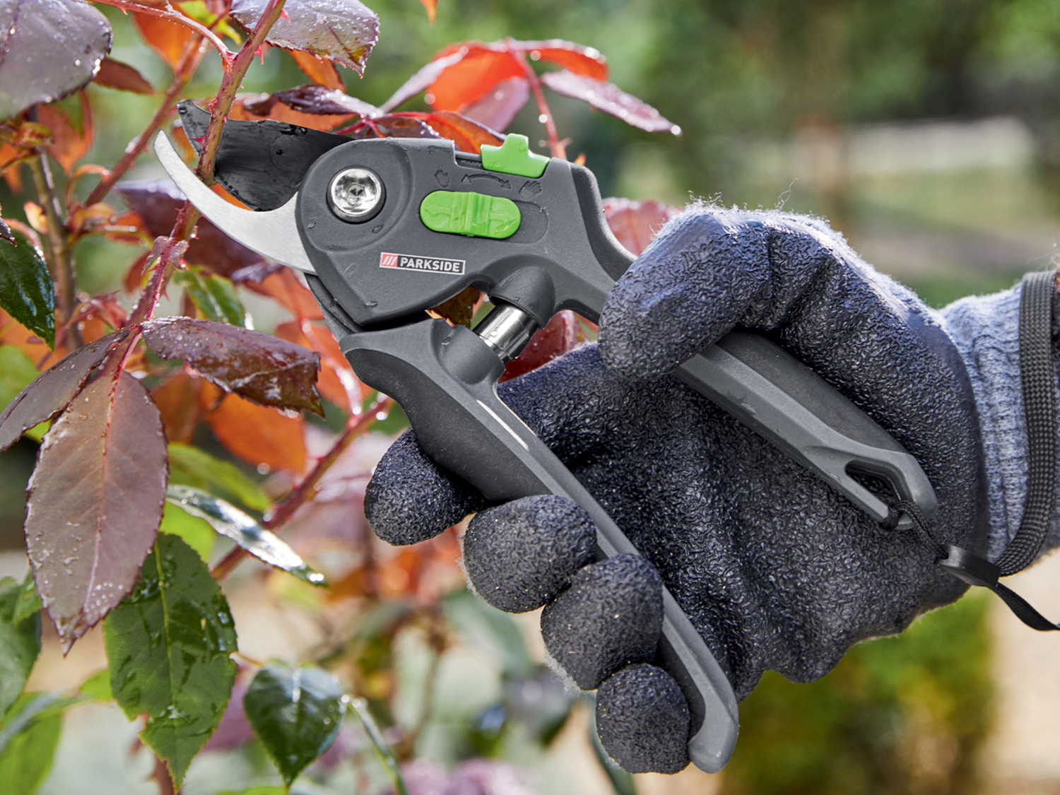 Forbice per potatura Parkside, prezzo 3.99 € 
- A incudine o bypass
- Con lama ...