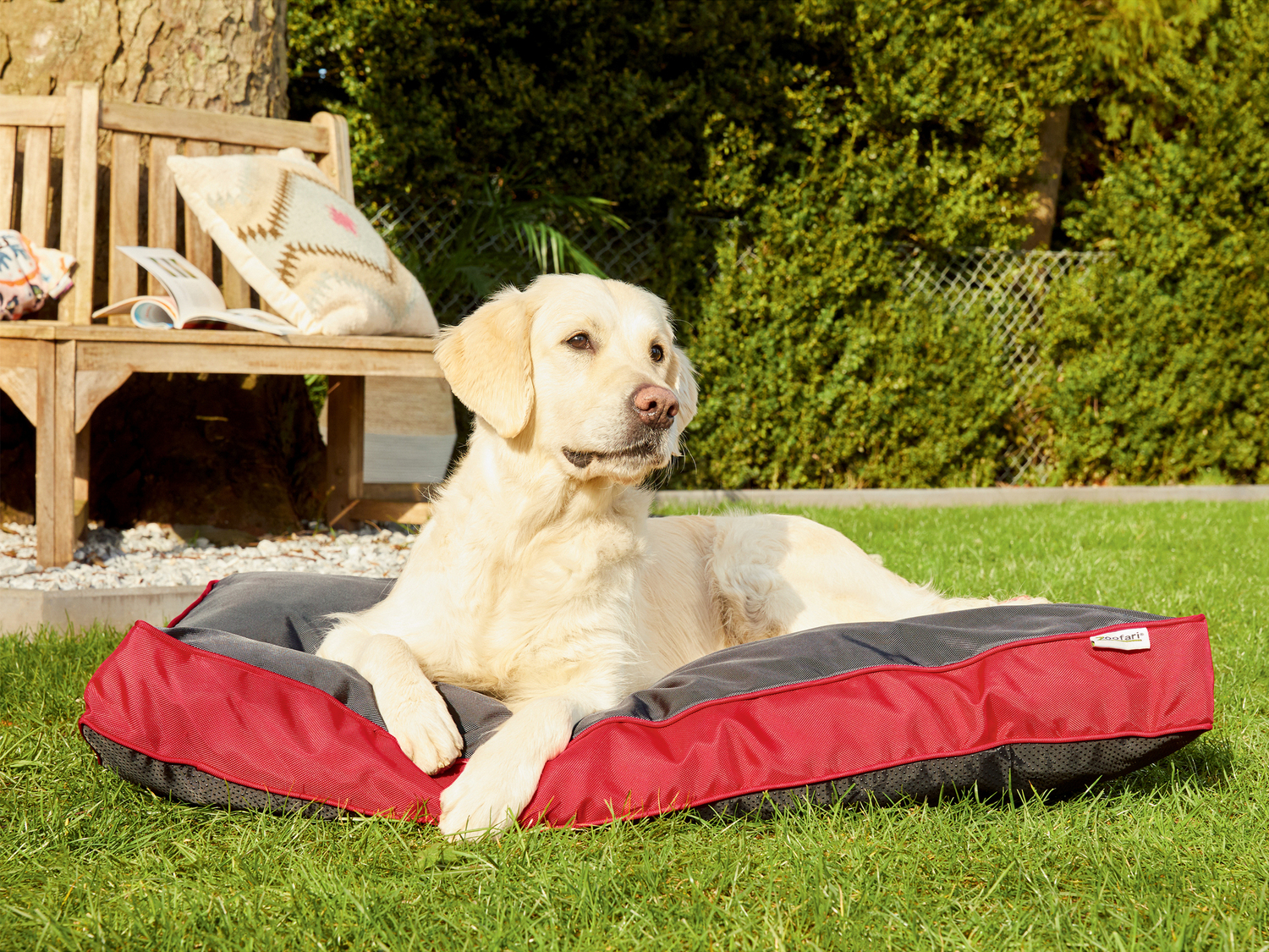 Lettino per cani Zoofari, prezzo 29.99 €
- Rivestimento in materiale ...