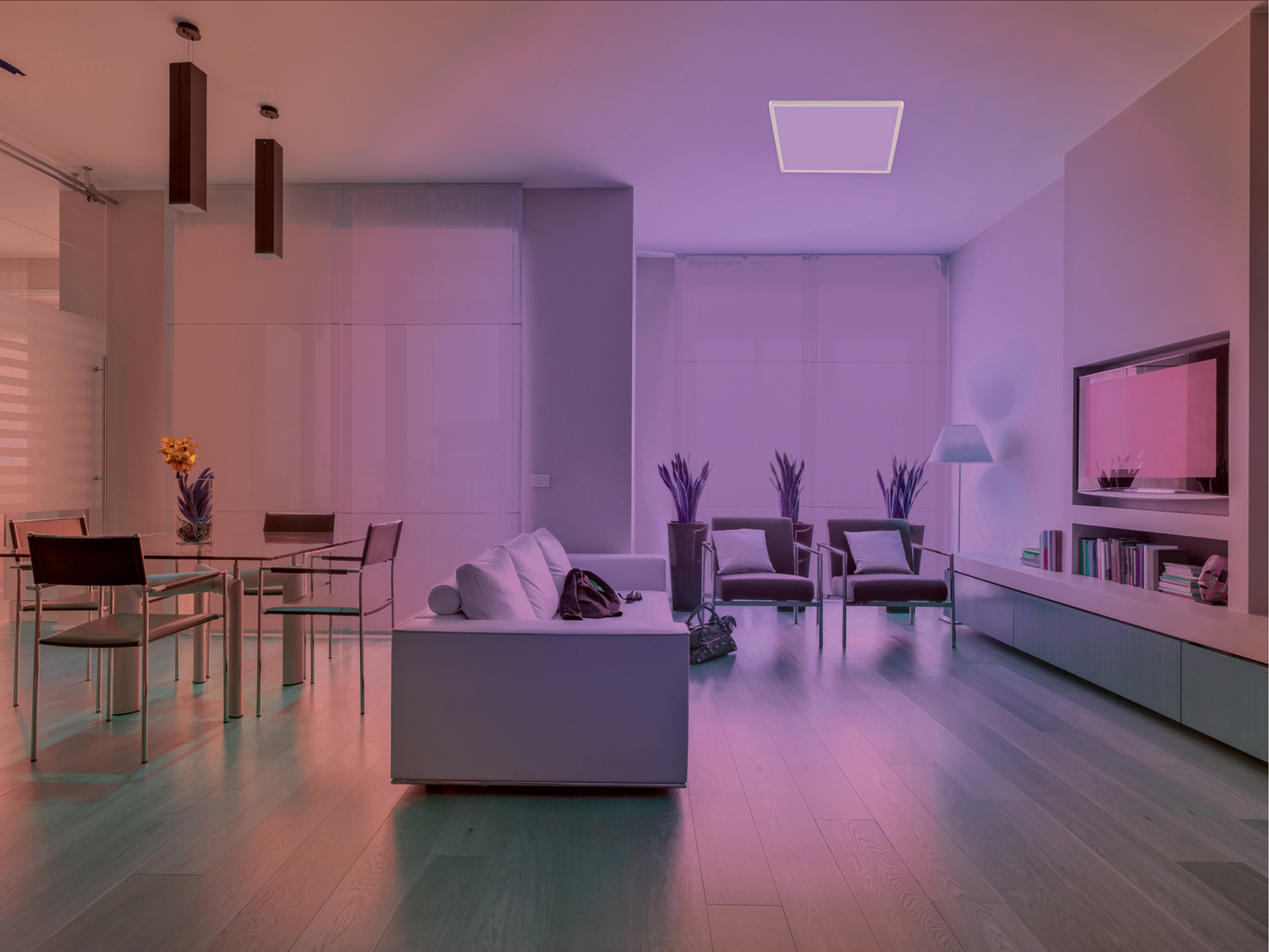 Lampada LED da soffitto smart Livarno, prezzo 34.99 €
- Compatibile con ...