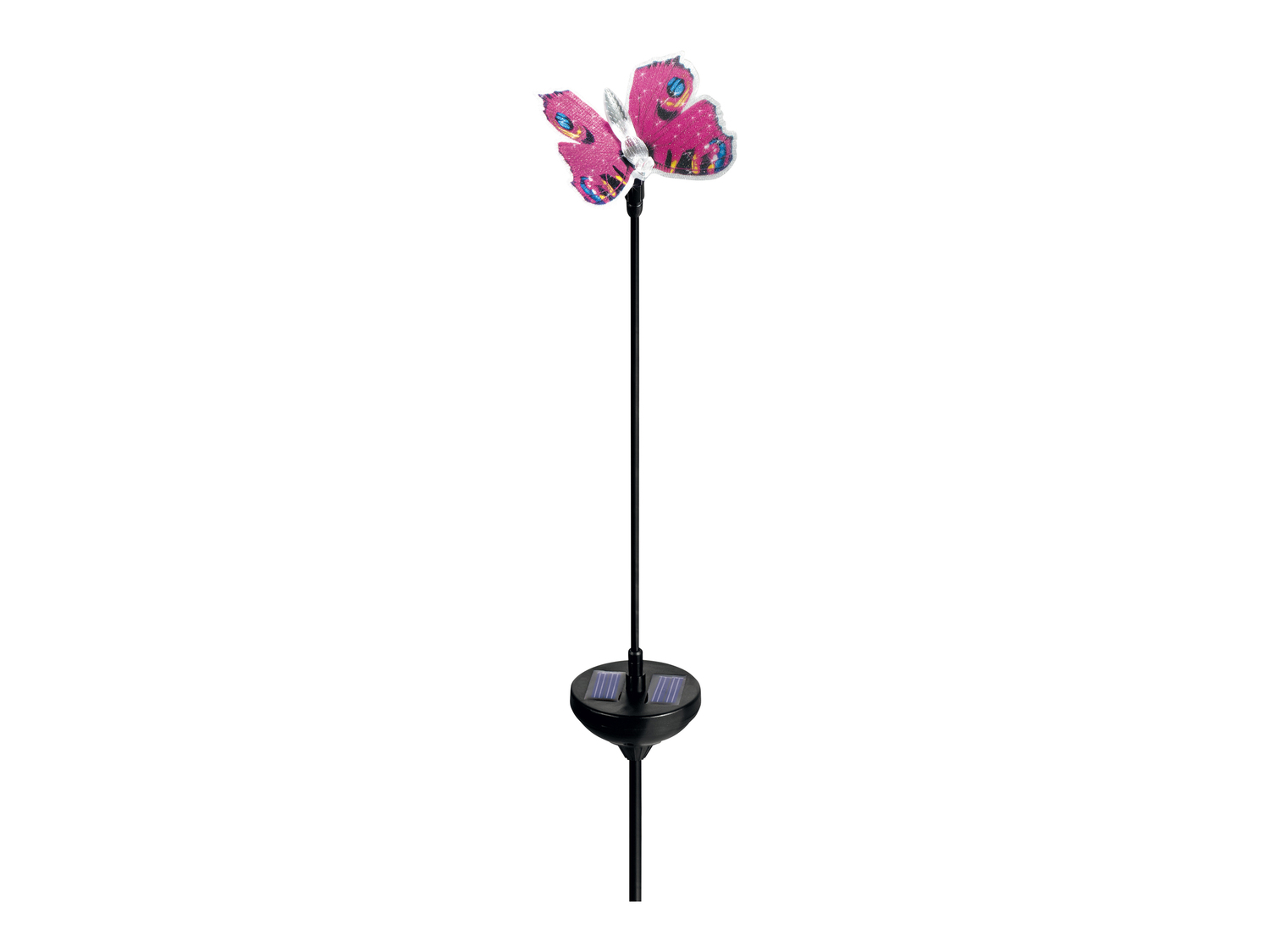 Lampada LED a energia solare Farfalla Livarno, prezzo 3.99 €
- Si accende ...