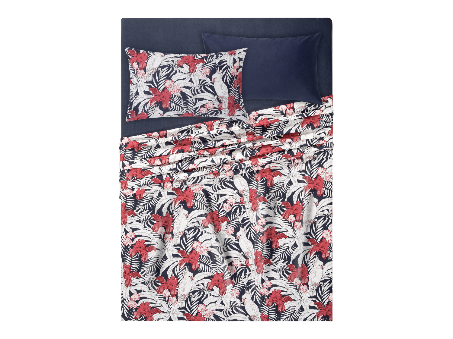 Completo lenzuola Livarno, prezzo 17.99 €
Matrimoniali
- Lenzuolo con ...