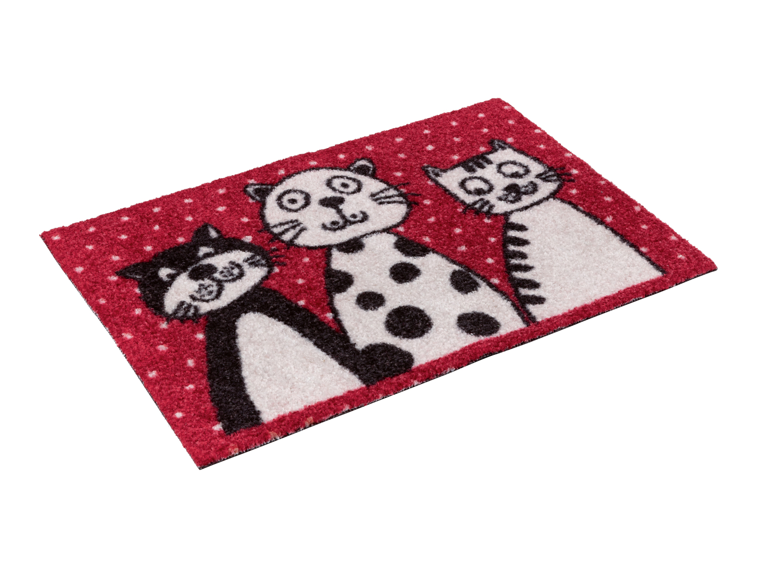 Tappeto catturasporco Livarno, prezzo 4.99 € 
60 x 40 cm 
- Adatto per riscaldamento ...