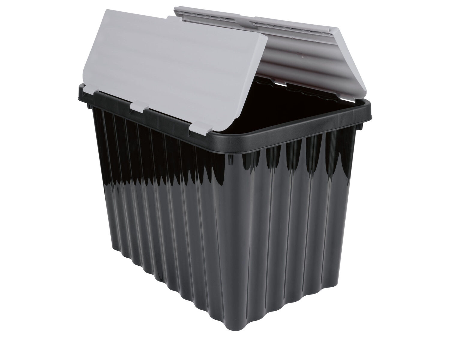 Box con coperchio ribaltabile Livarno, prezzo 5.99 &#8364; 
24,5 L 
- Max. portata: ...