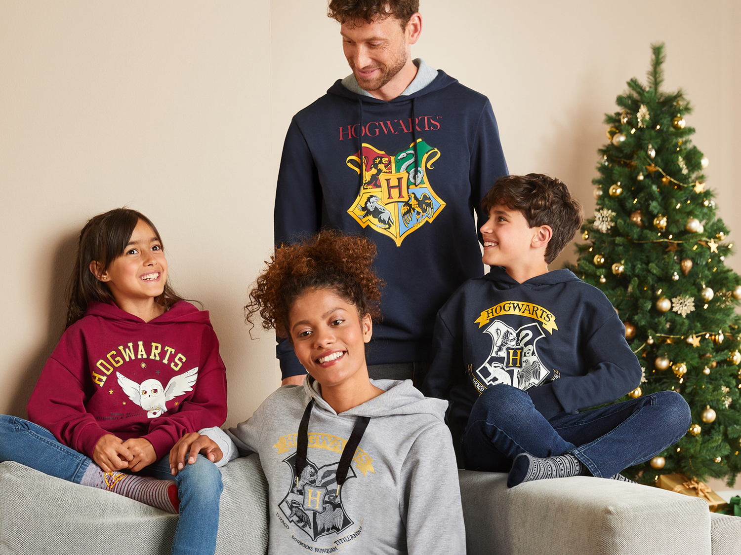 Felpa da donna Harry Potter Oeko-tex, prezzo 14.99 €
Misure: S-L
- Con interno ...