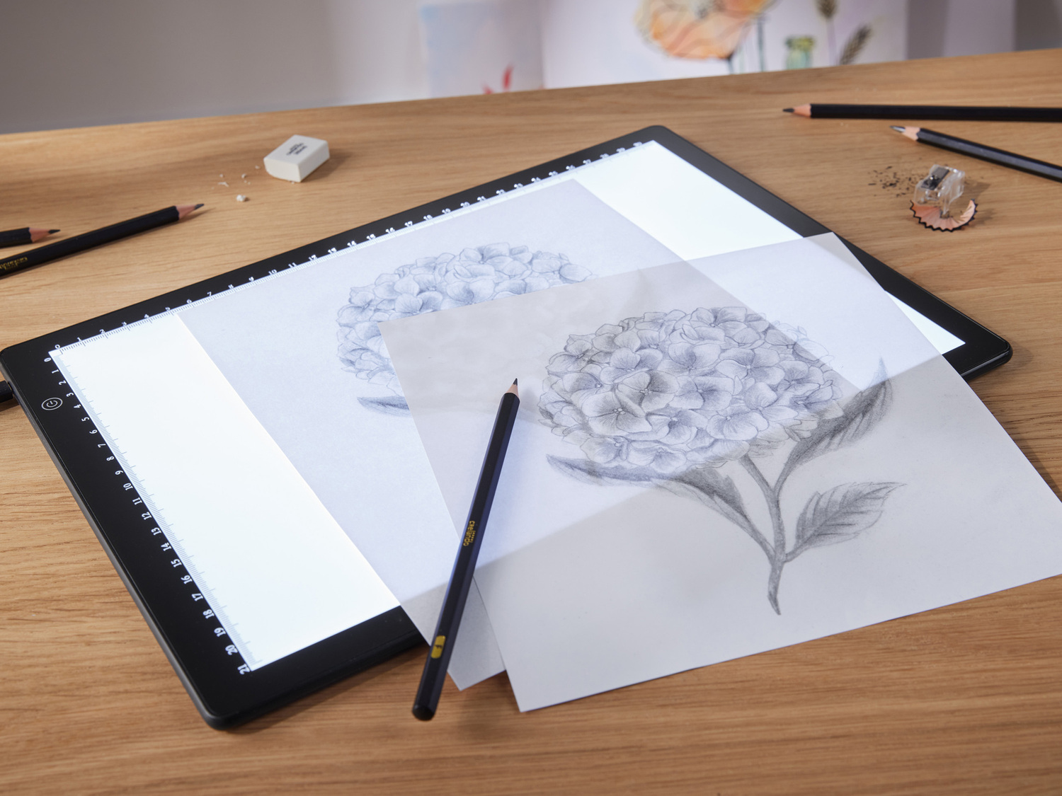 Tavoletta luminosa LED per disegno Crelando, prezzo 14.99 €
- Posiziona ...