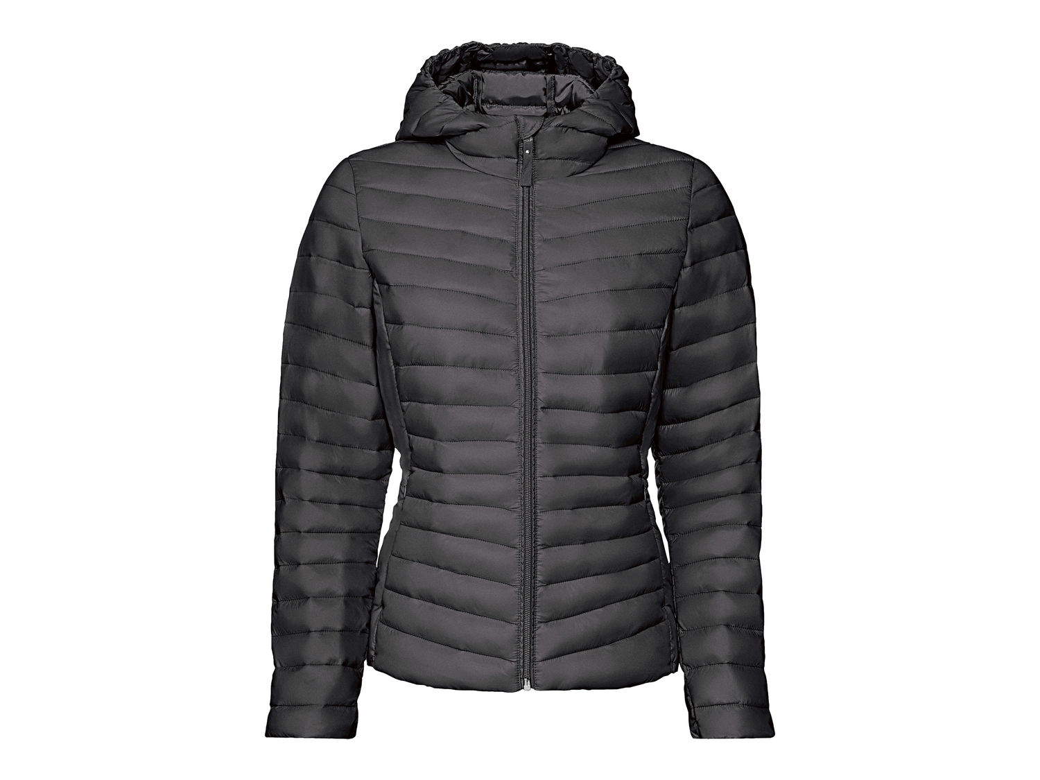 Giacca Lightweight da donna Esmara, prezzo 17.99 €
Misure: S-L
- Imbottitura prodotta ...