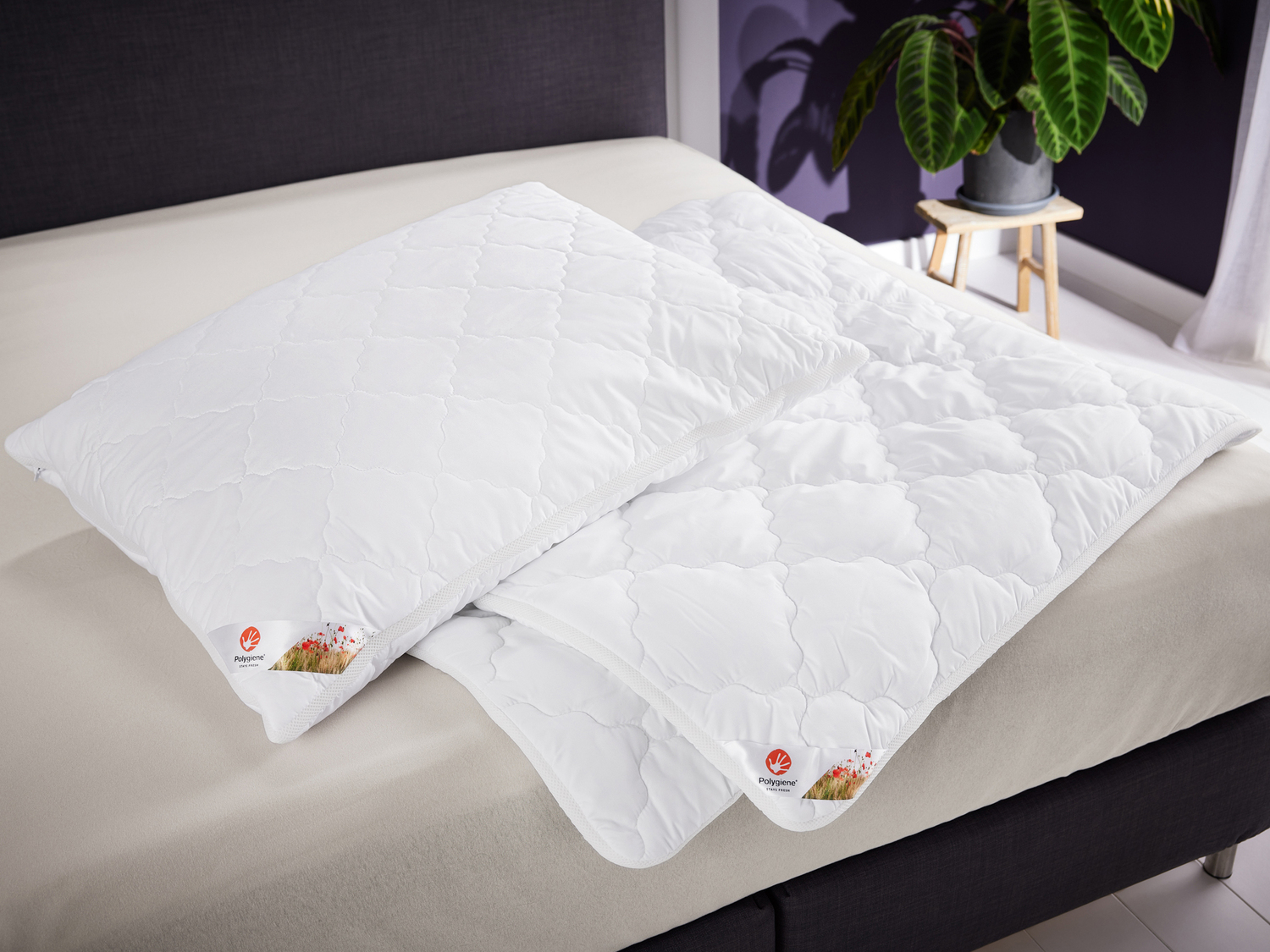 Piumino Livarno, prezzo 29.99 €
Singolo
- Imbottitura prodotta da 100% ...