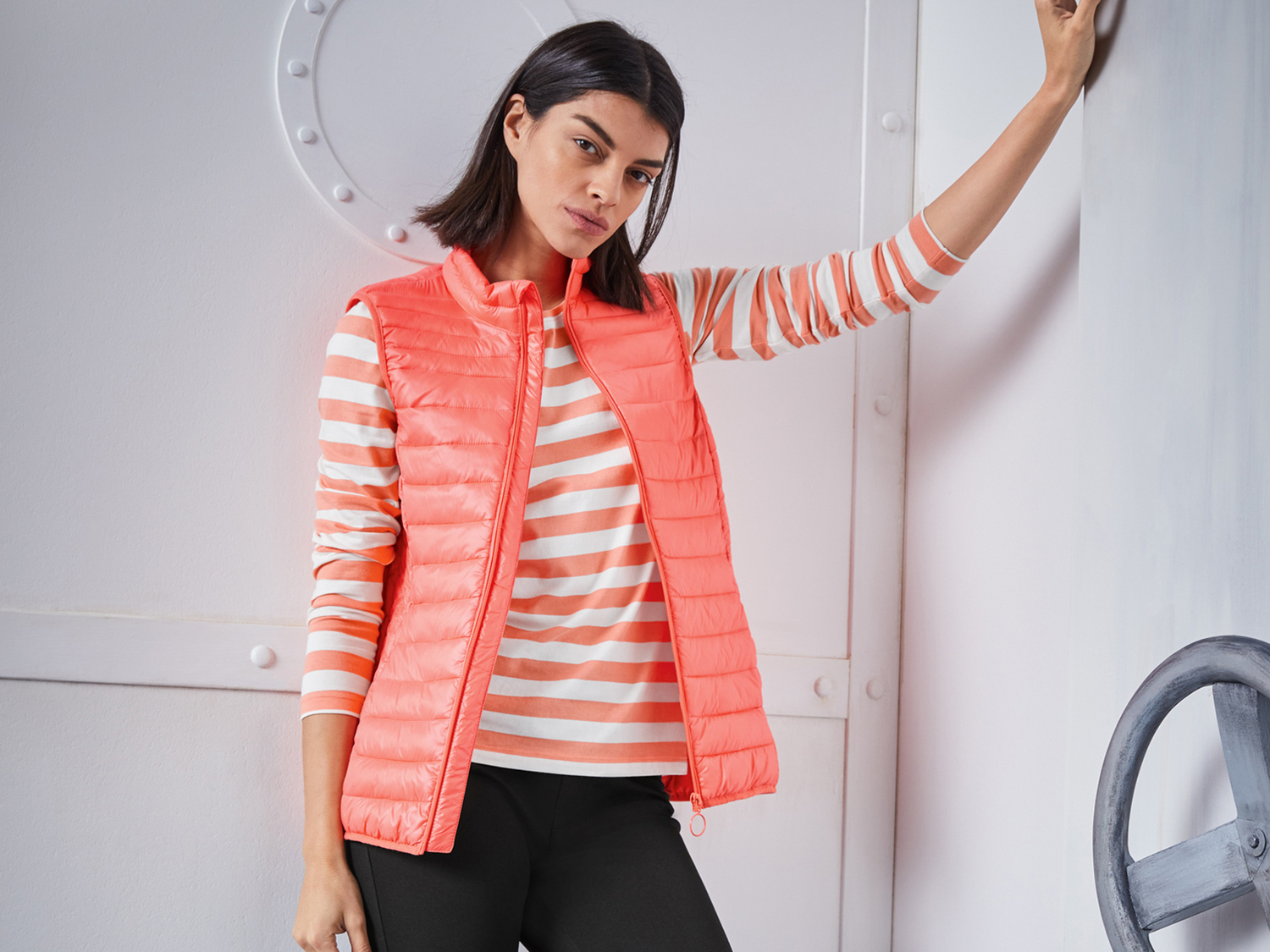 Gilet imbottito da donna Esmara, prezzo 12.99 €
Misure: S-XL
Taglie disponibili
Caratteristiche
- ...