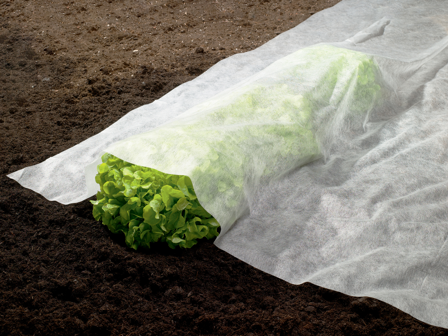 Telo pacciamatura o da giardino Parkside, prezzo 3.99 &#8364; 
- Ritagliabile ...