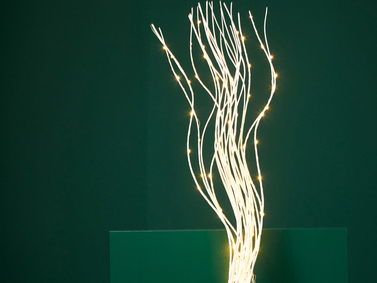 Rami luminosi LED , prezzo 11.99 EUR
Rami luminosi LED
- Altezza: 120 cm
- Luce ...