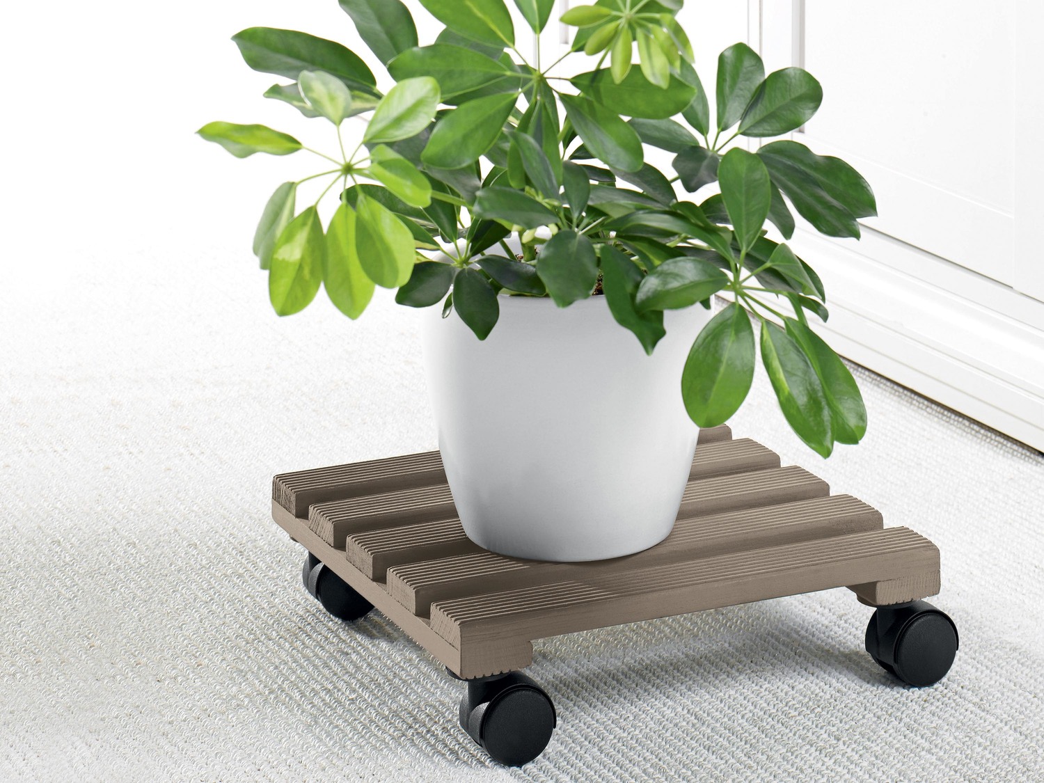 Portavaso con rotelle Livarno Living, prezzo 4.99 €
- In acciaio o in ...