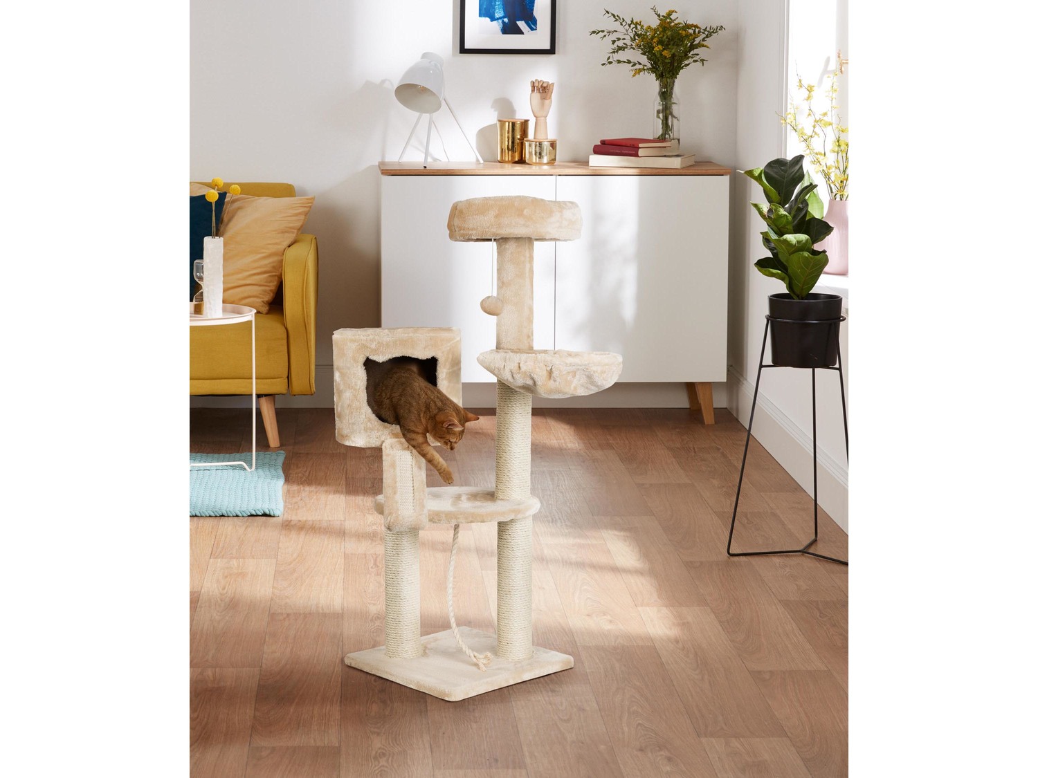 Tiragraffi a torre per gatti Zoofari, prezzo 39.99 €
- Combinazione ...
