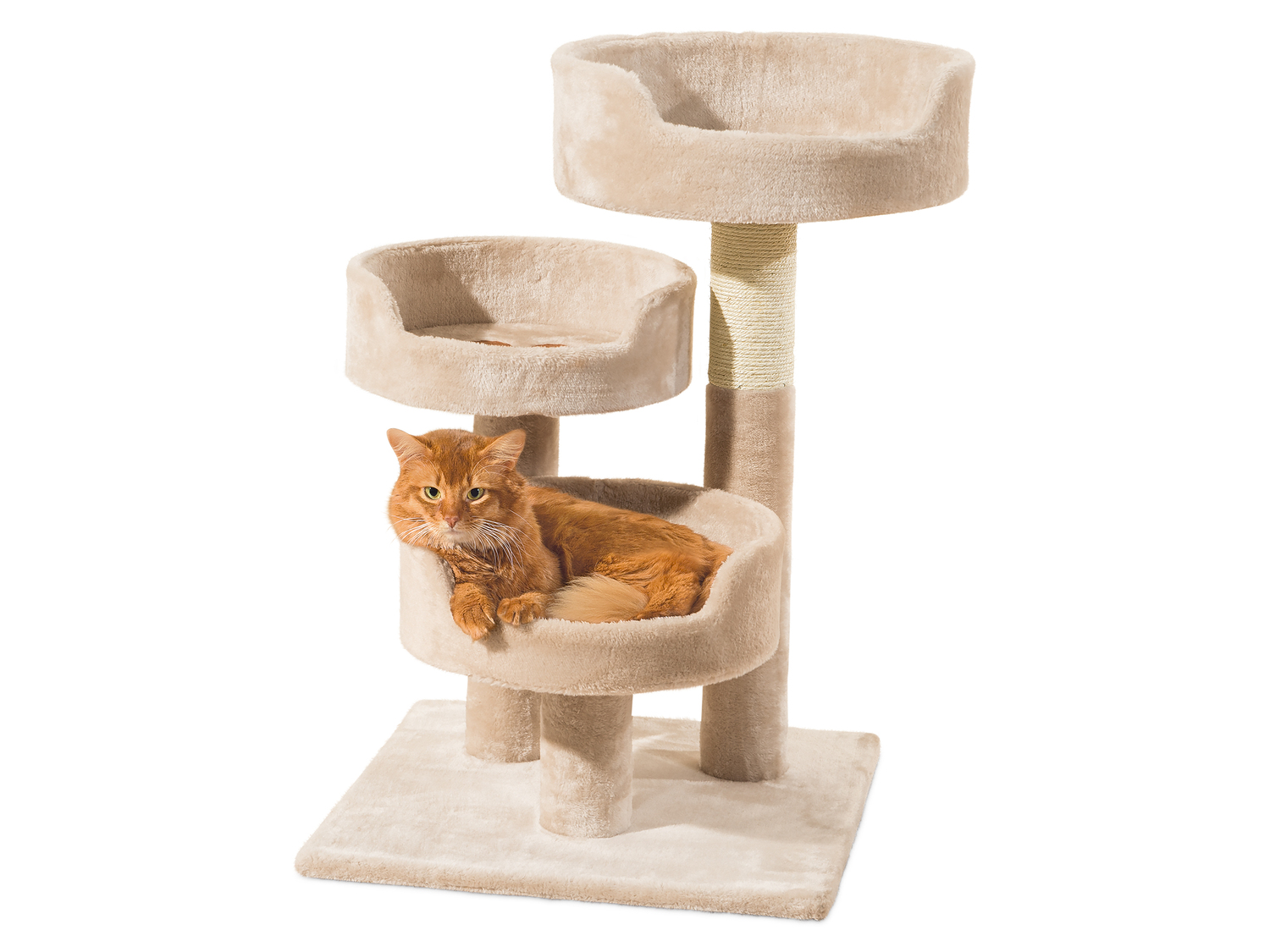 Tiragraffi a torre per gatti Zoofari, prezzo 39.99 €
- Dimensione cestelli:
- ...