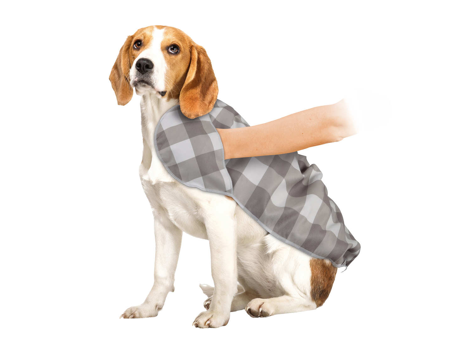 Asciugamano per animali Zoofari, prezzo 4.99 €
1 o 2 pezzi
- Subito asciutto ...