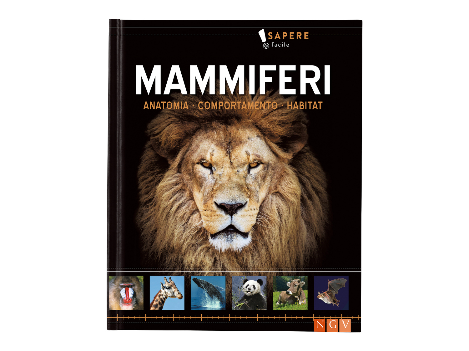 Libro educativo per bambini , prezzo 3.99 &#8364;