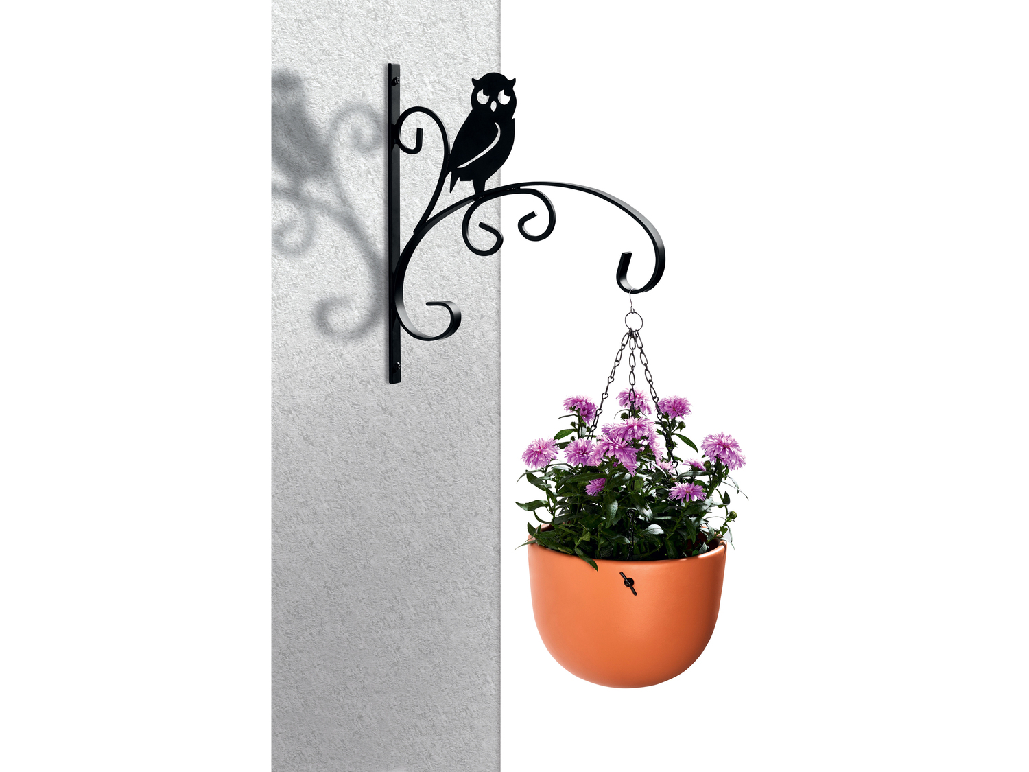 Portavaso pensile Florabest, prezzo 2.99 €
- 28 x 30 cm (L x A)
Caratteristiche
- ...