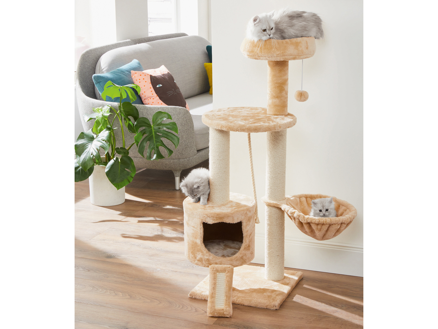 Tiragraffi a torre per gatti Zoofari, prezzo 39.99 €
- Con resistente ...