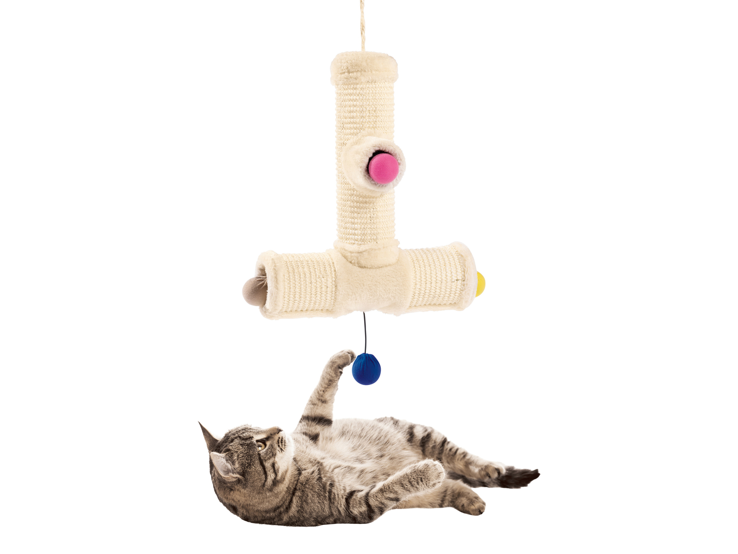 Gioco tiragraffi per gatti Zoofari, prezzo 9.99 €
- Arco: 29 x 29 x 34,5 ...