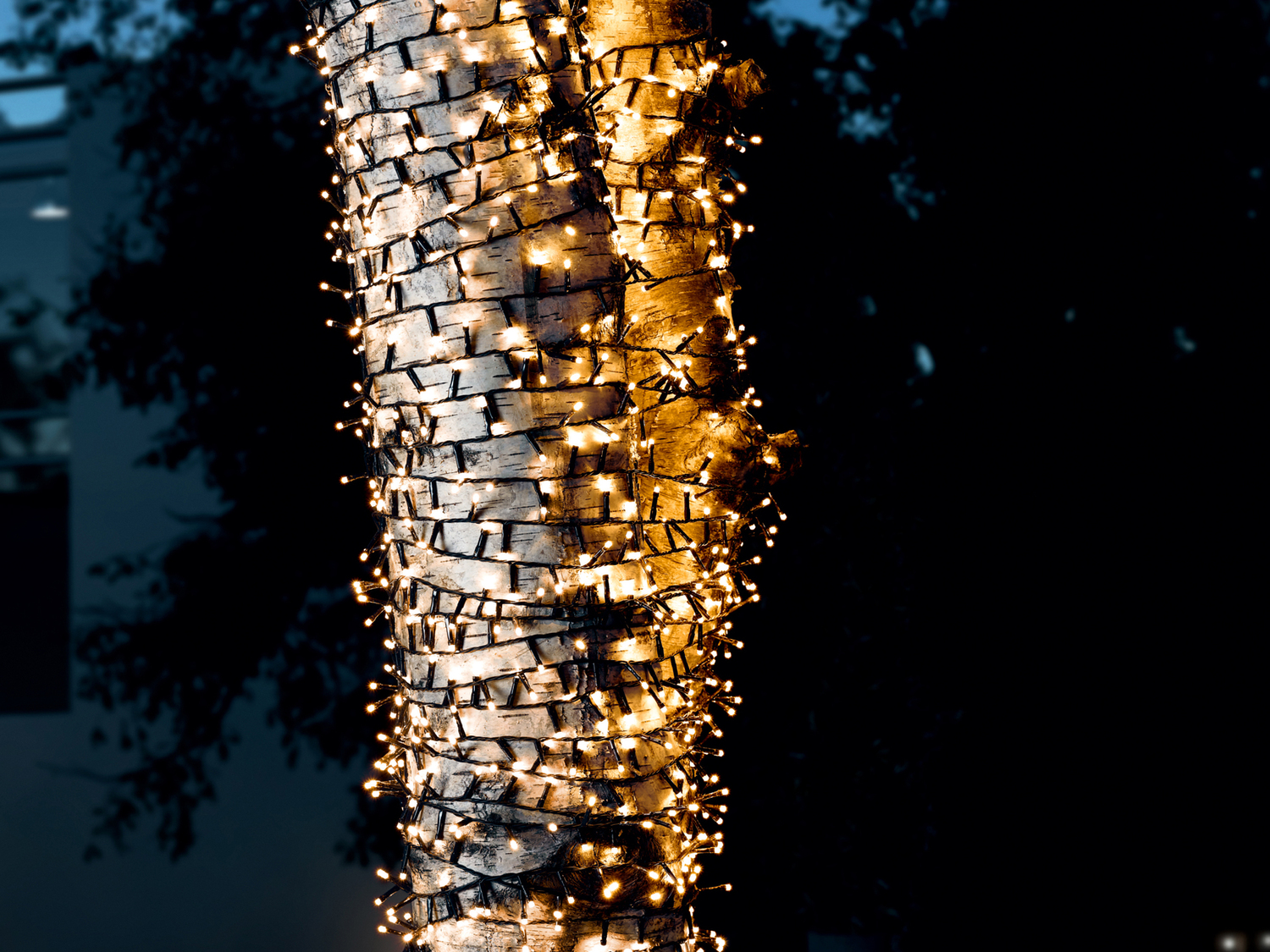 Catena luminosa 1000 LED Melinera, prezzo 27.99 €
- Per ambienti interni ...