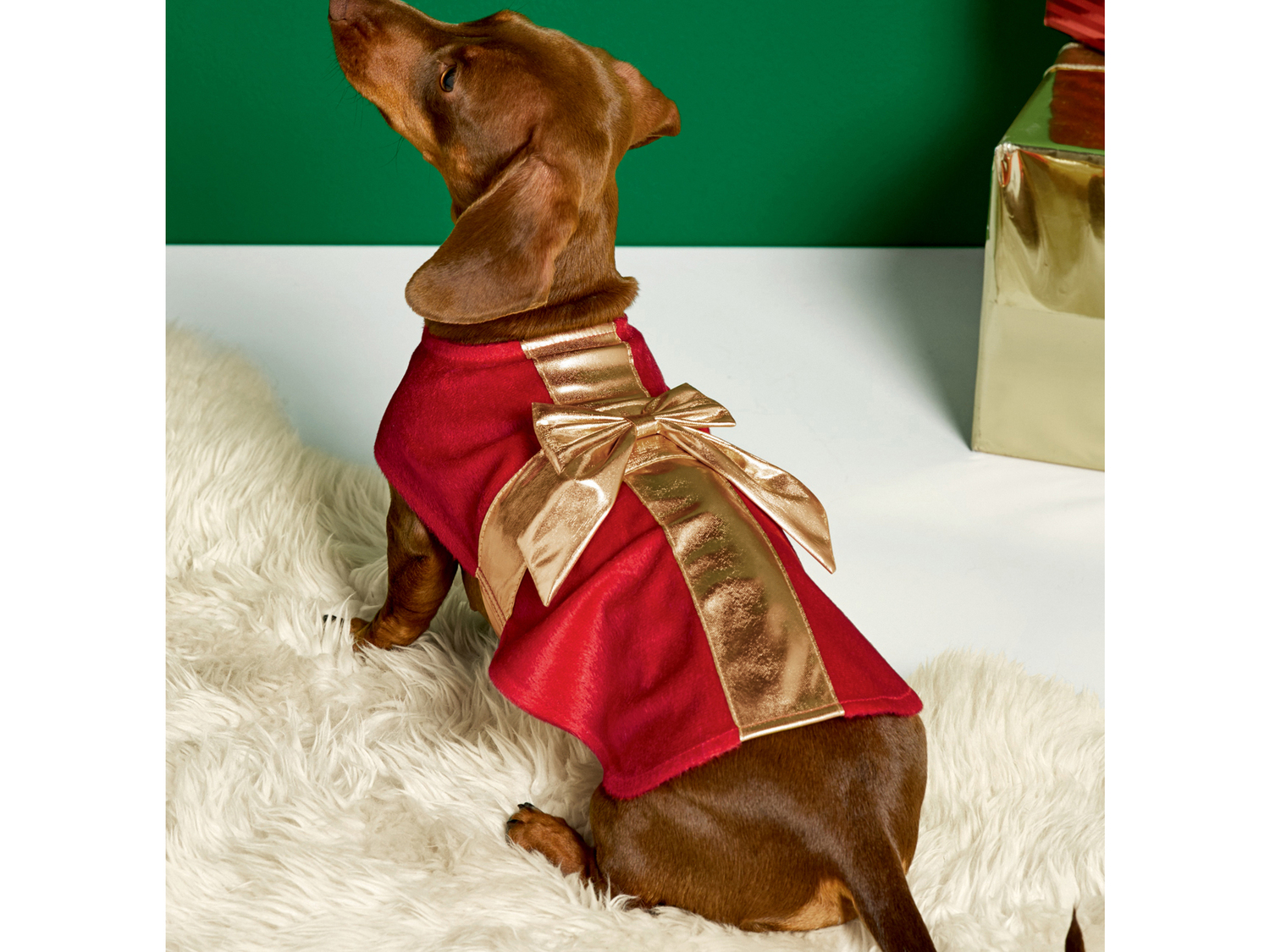 Costume natalizio per cani , prezzo 4.99 €
Misure: XS - L