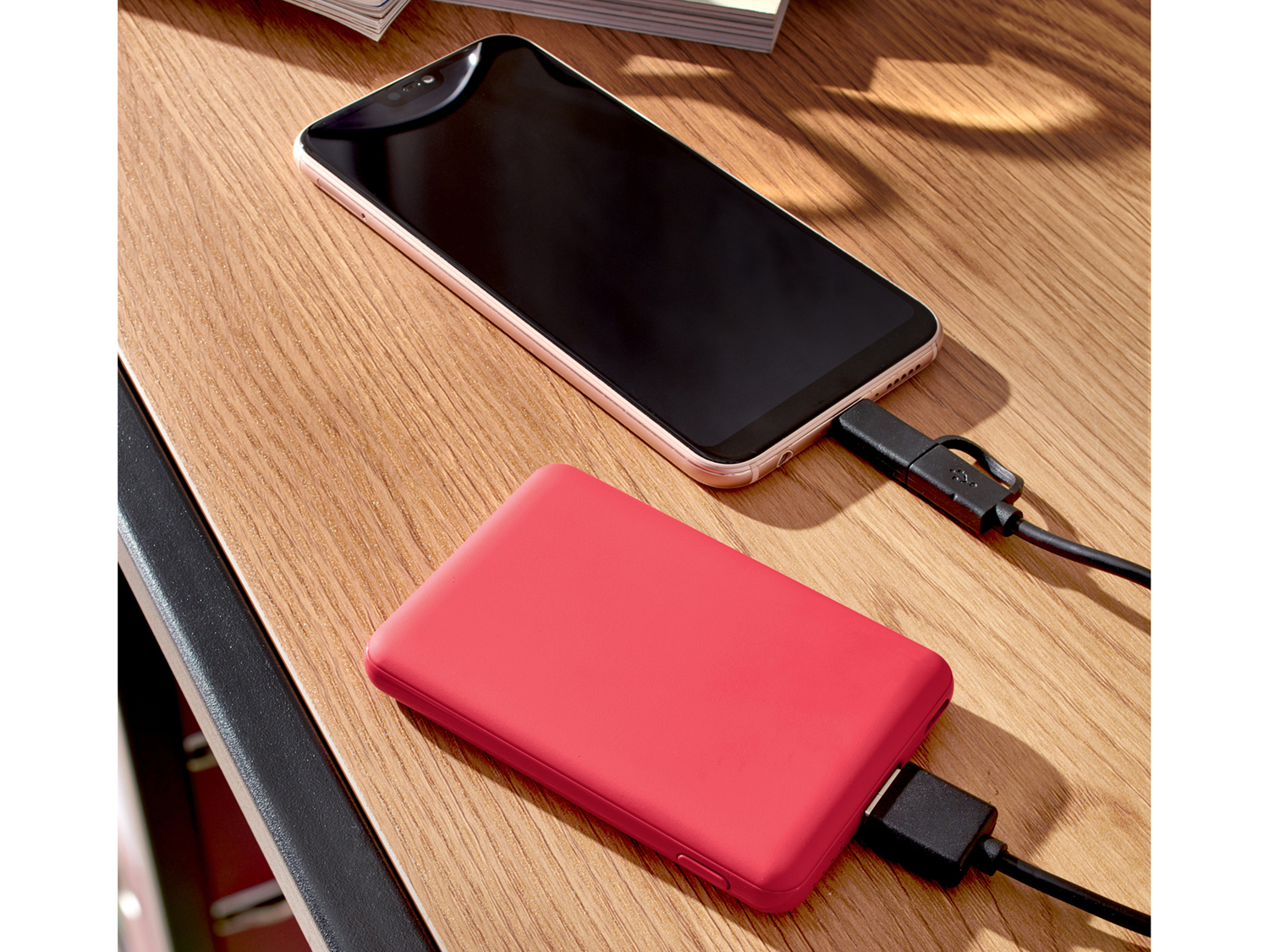 Powerbank 5000 mAh Silvercrest, prezzo 9.99 €
- USB Tipo C su cavo di ...