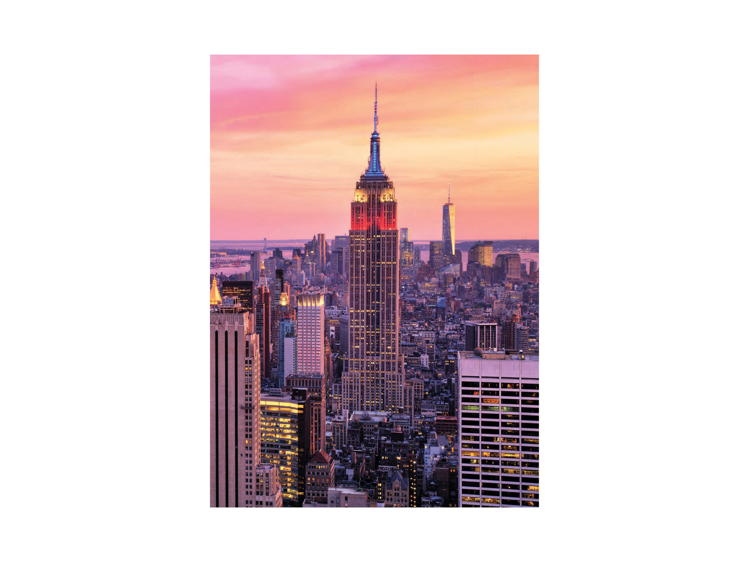 Quaderno United Office, prezzo 0.79 €
Caratteristiche
- FSC no link