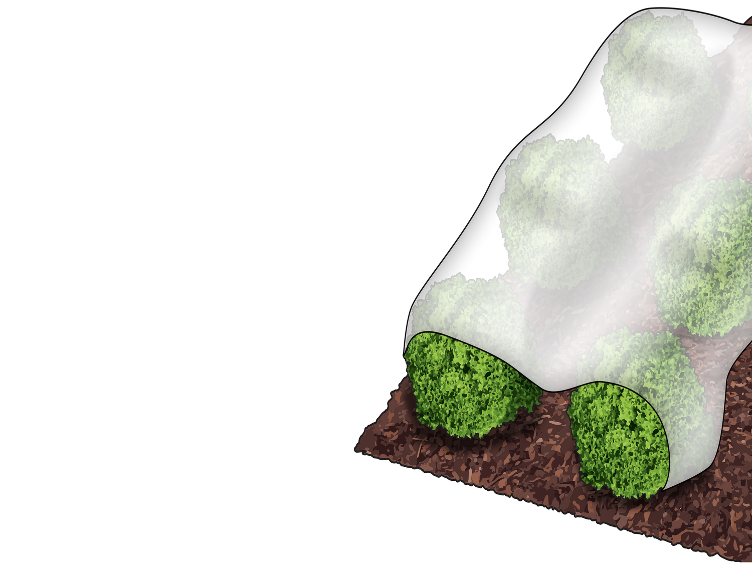 Telo pacciamante o da giardino Parkside, prezzo 2.99 €
- Ritagliabile ...