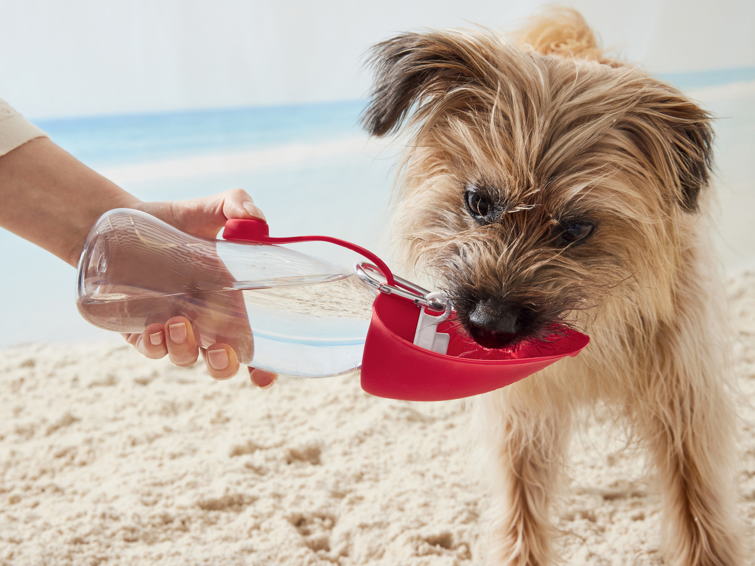 Borraccia per cani Zoofari, prezzo 3.99 €
- Tappo in silicone ribaltabile ...