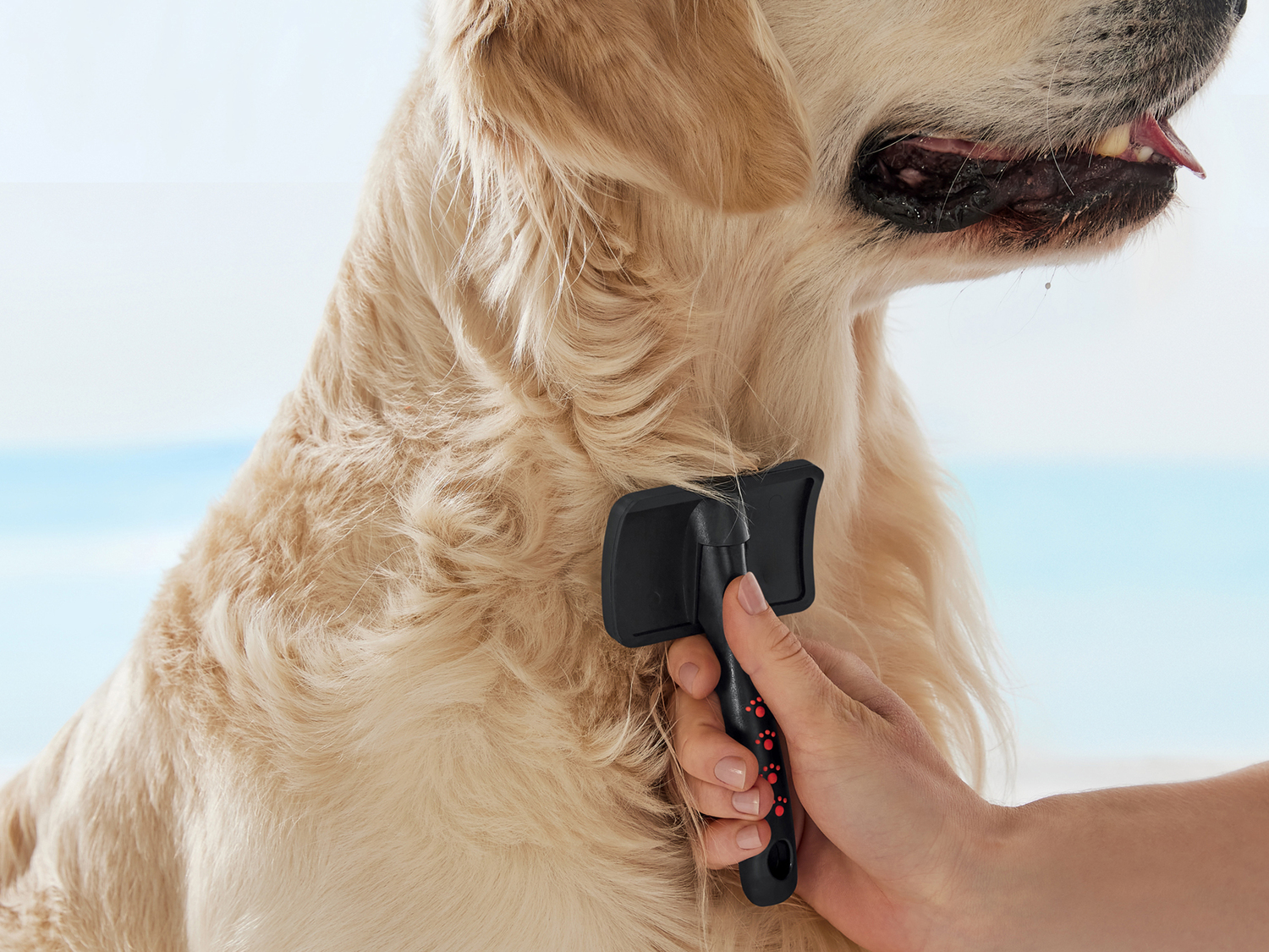Set per la toelettatura di animali domestici Zoofari, prezzo 19.99 €
13 ...