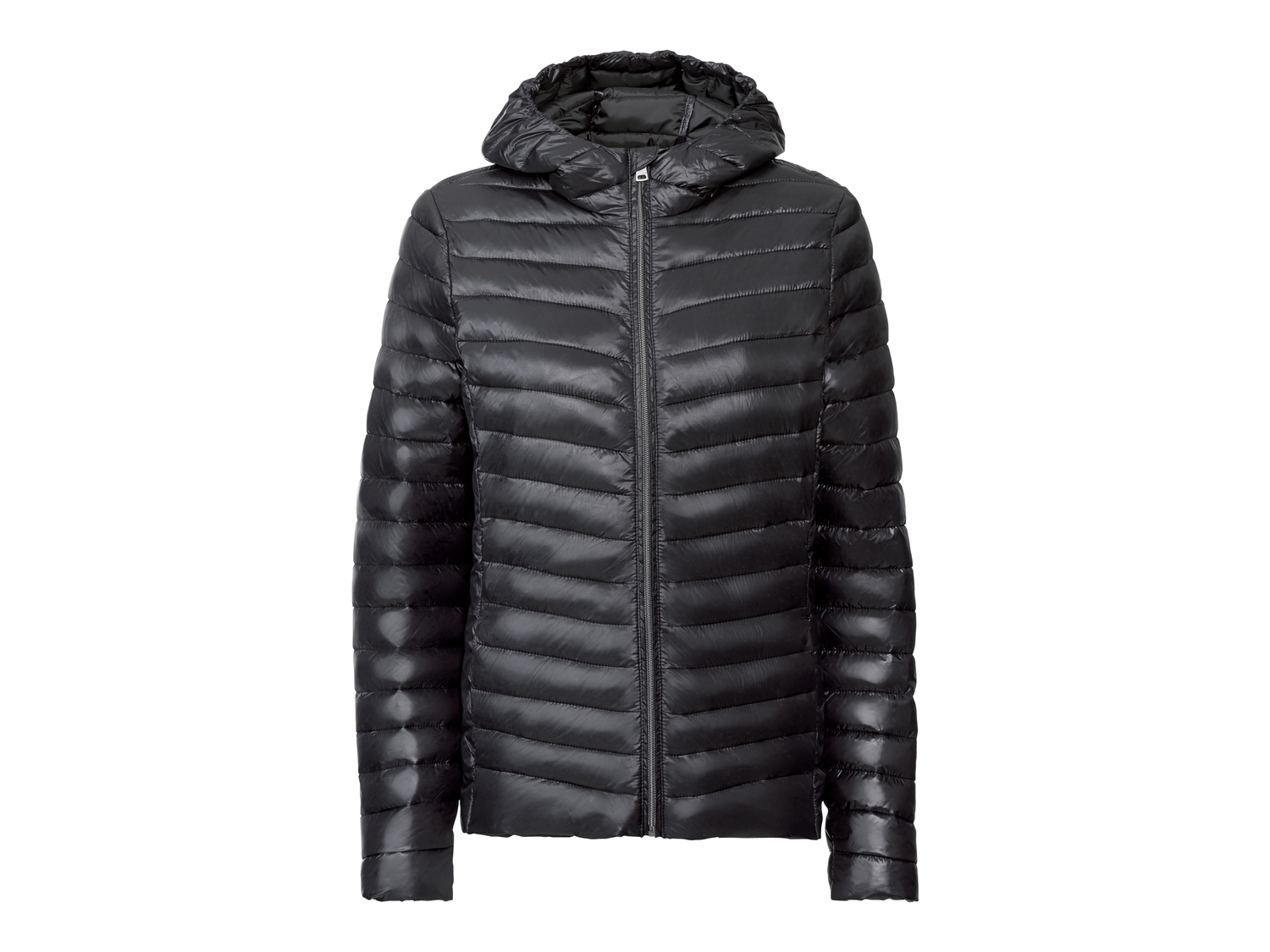 Giacca Lightweight da donna Esmara, prezzo 17.99 &#8364; 
Misure: S-L 
- Imbottitura ...