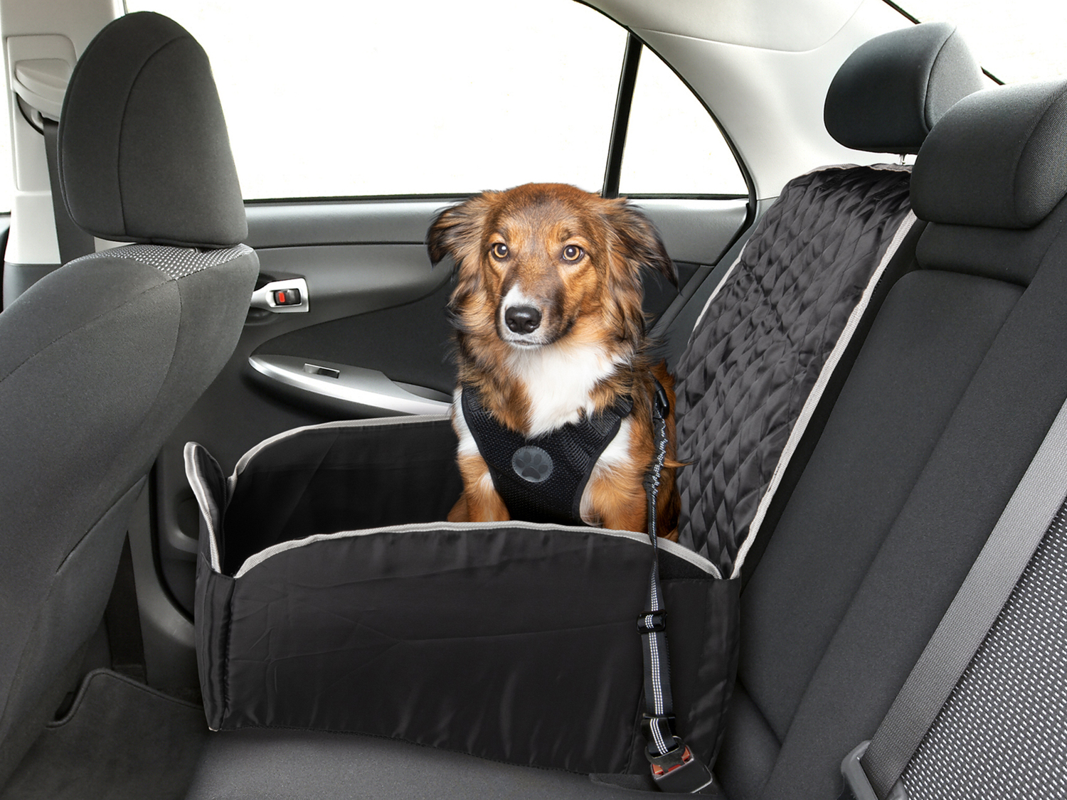 Coprisedile o telo per sedile per auto per animali Zoofari, prezzo 11.99 € ...