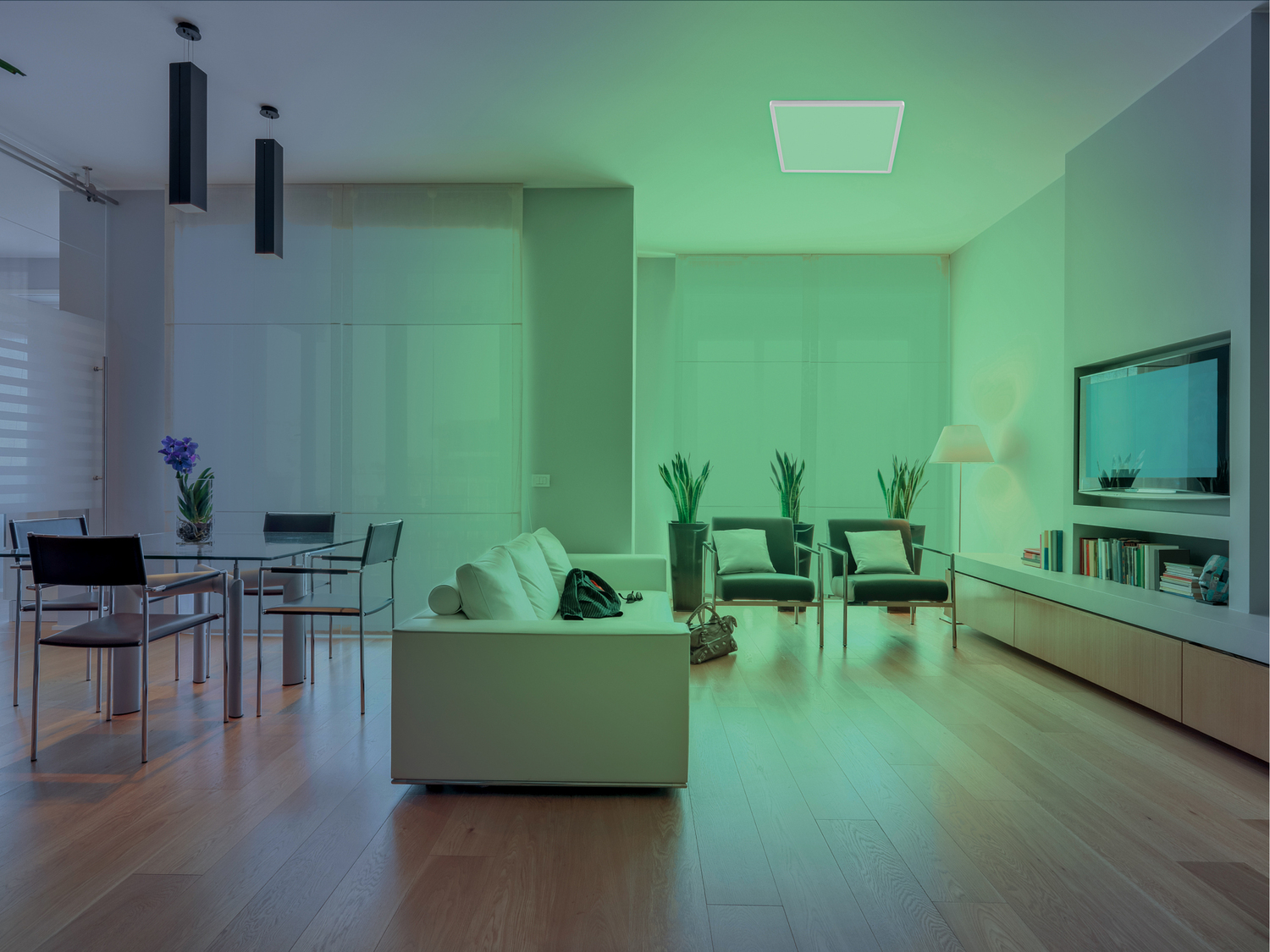 Lampada LED da soffitto smart Livarno, prezzo 34.99 €
- Compatibile con ...